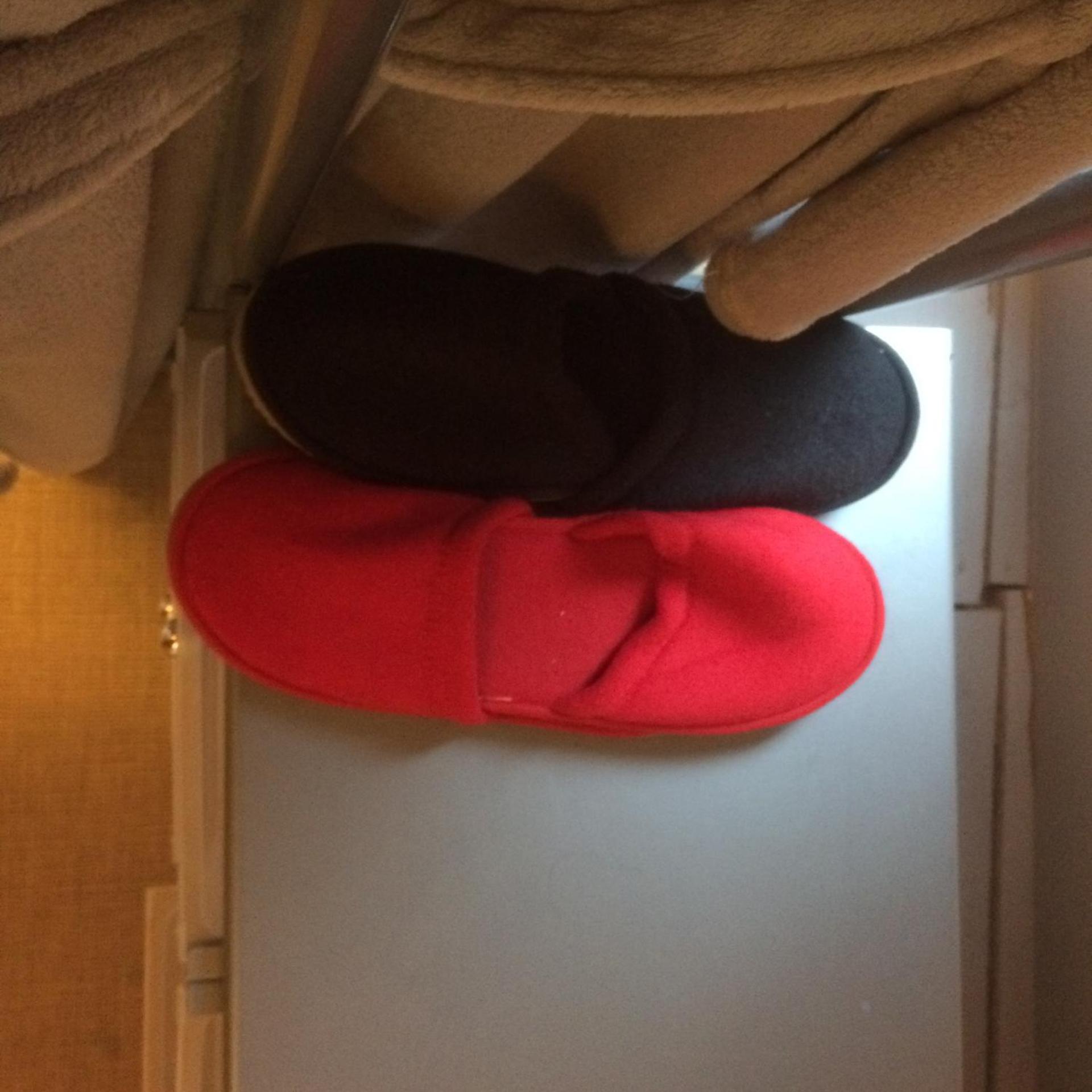 Le petit secret au pied du zoo