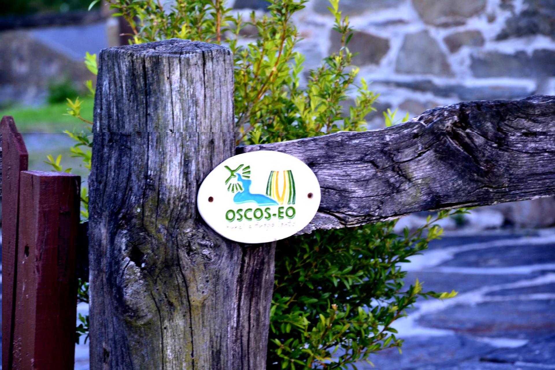 Logo/Certificate/Sign