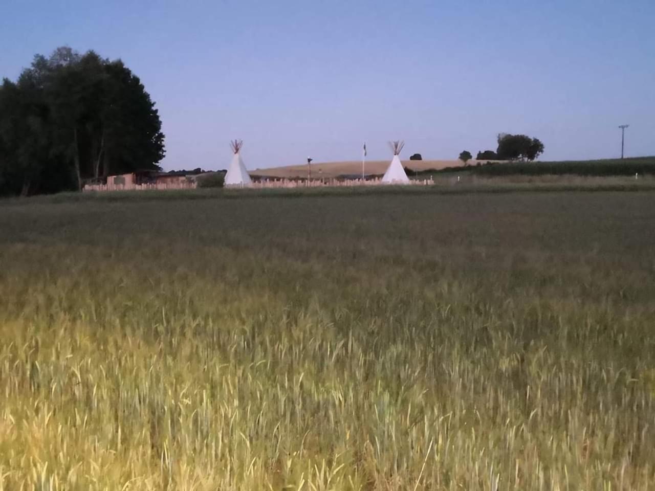 Reiterhof vom Litzlbach