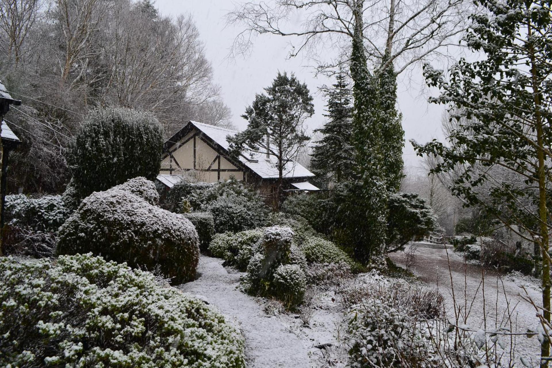 Llethrau Forest & Nature Retreats