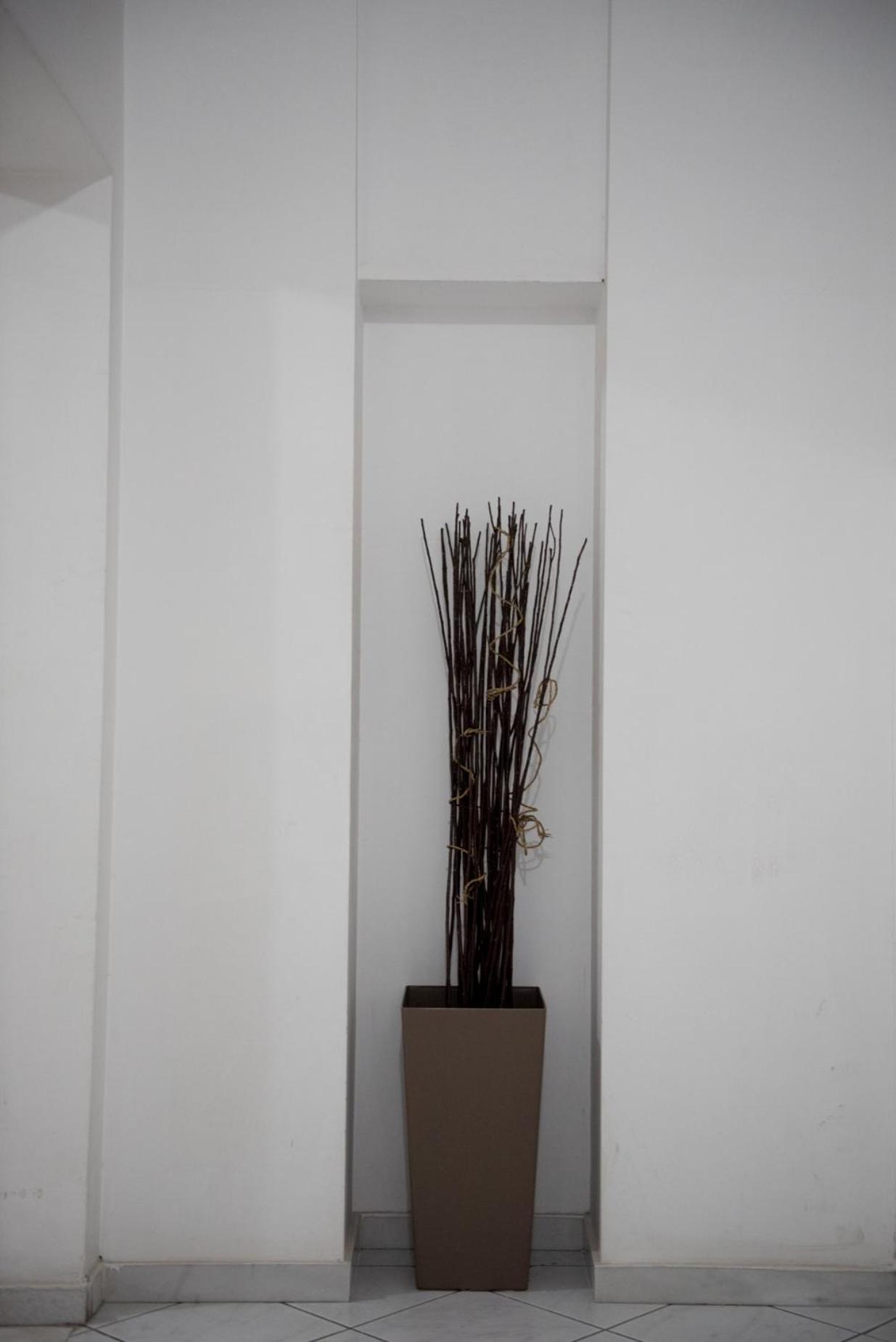 Violet #colony_White_Tower