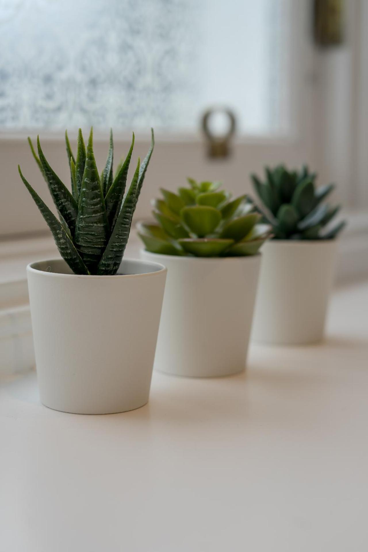 Kingsley Guest House