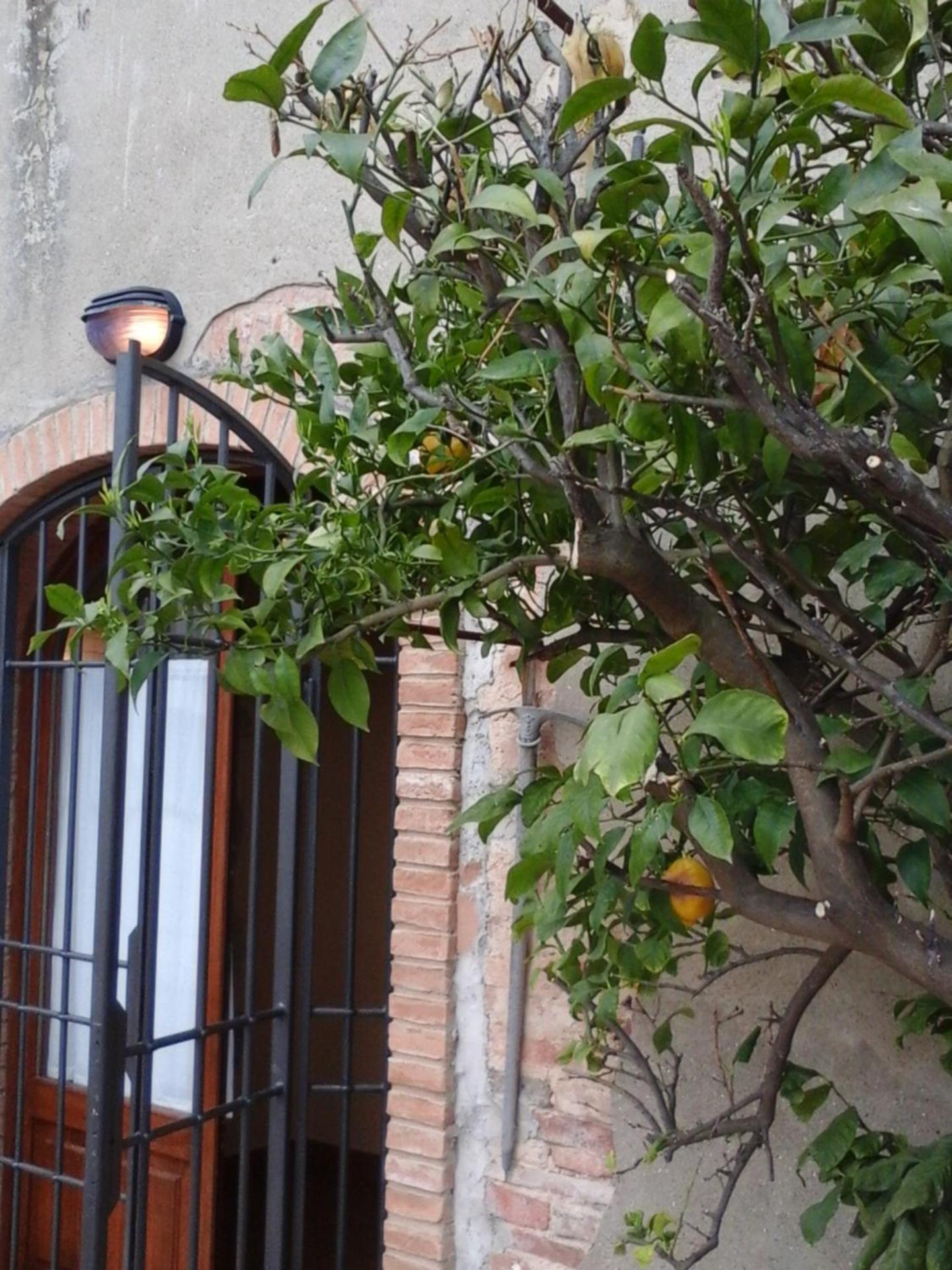 Casa Agostini