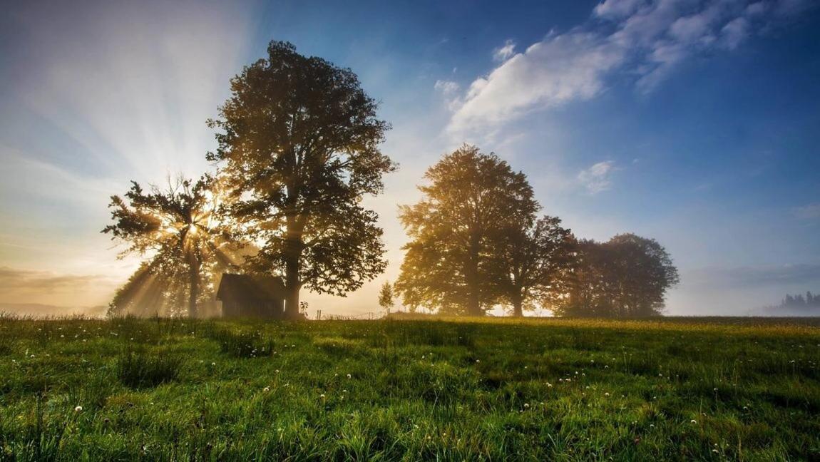 Guest House u chalupky