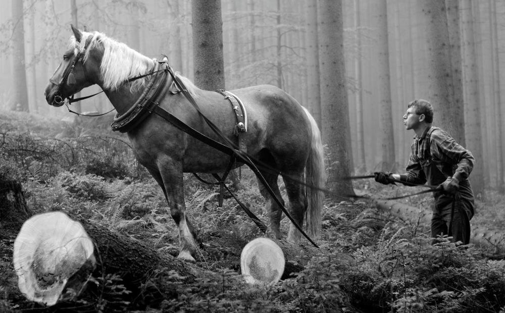 Guest House u chalupky