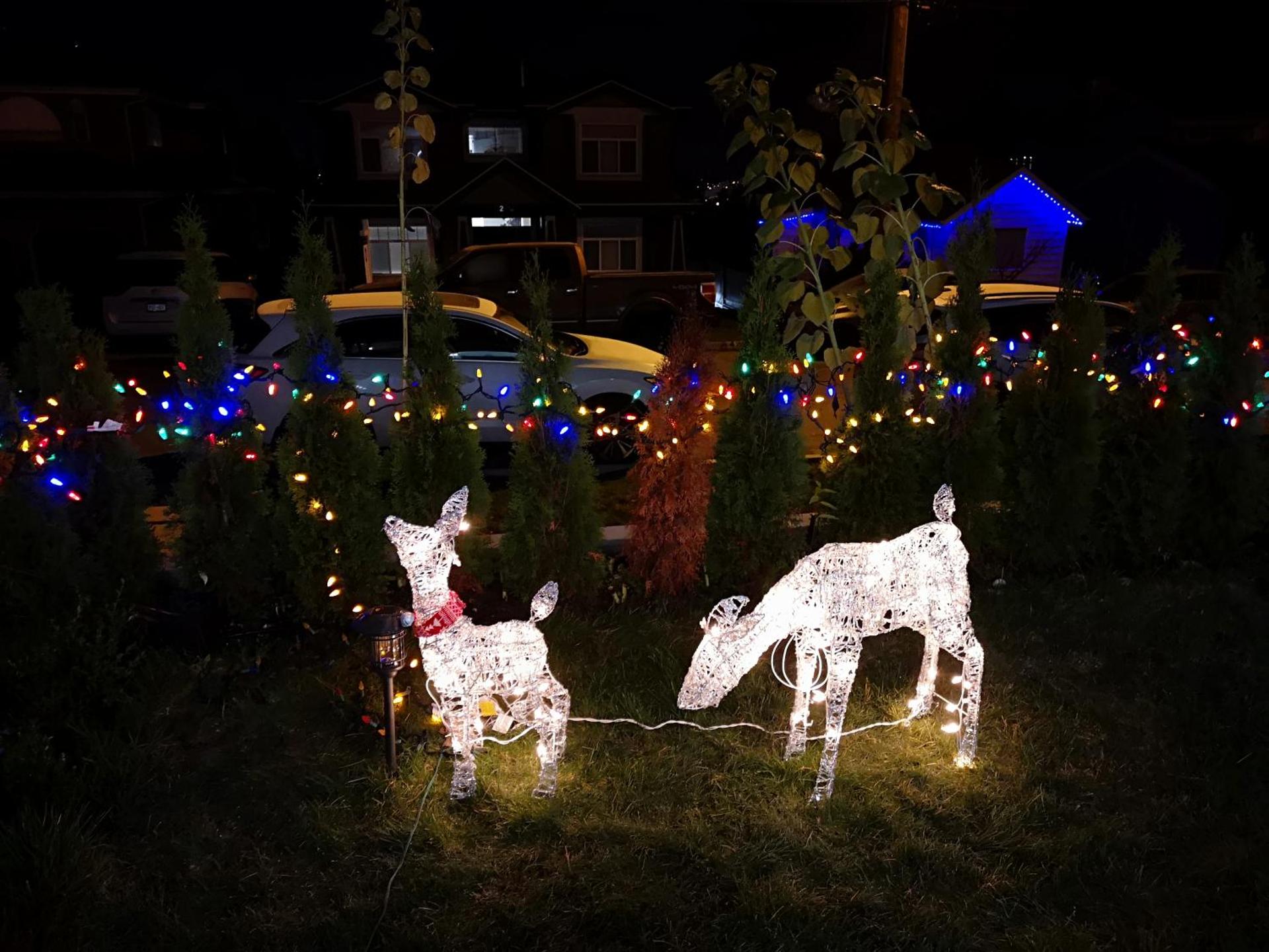 Metropolis MetroTown Area lovely place 2 or 1 bedrooms suite