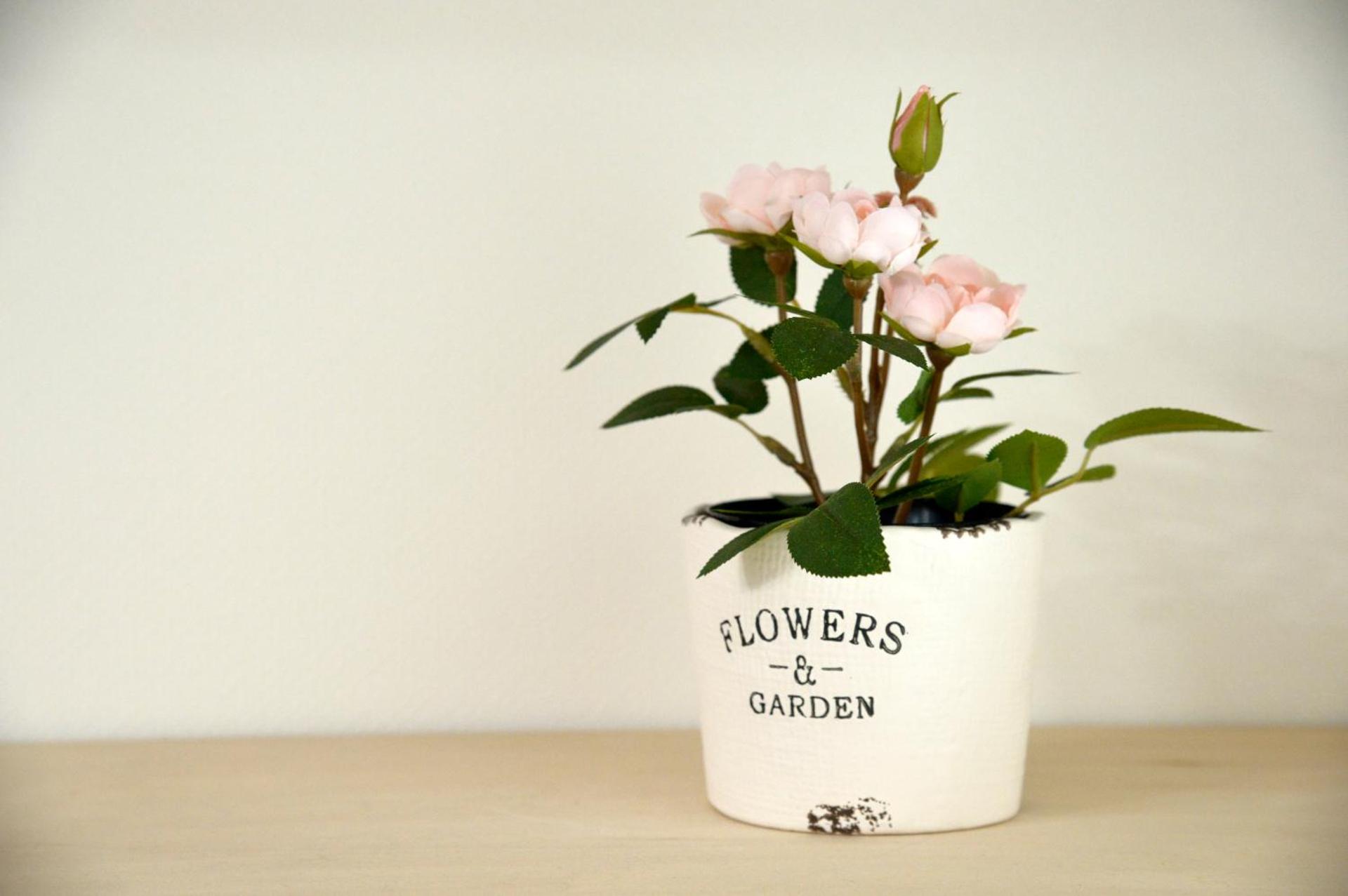 Roppongi WoodsHouse501