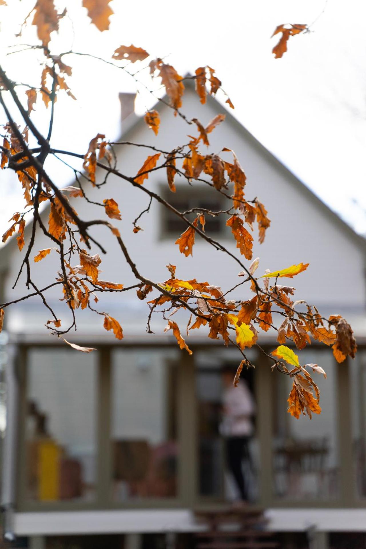 Négy Évszak Vendégház