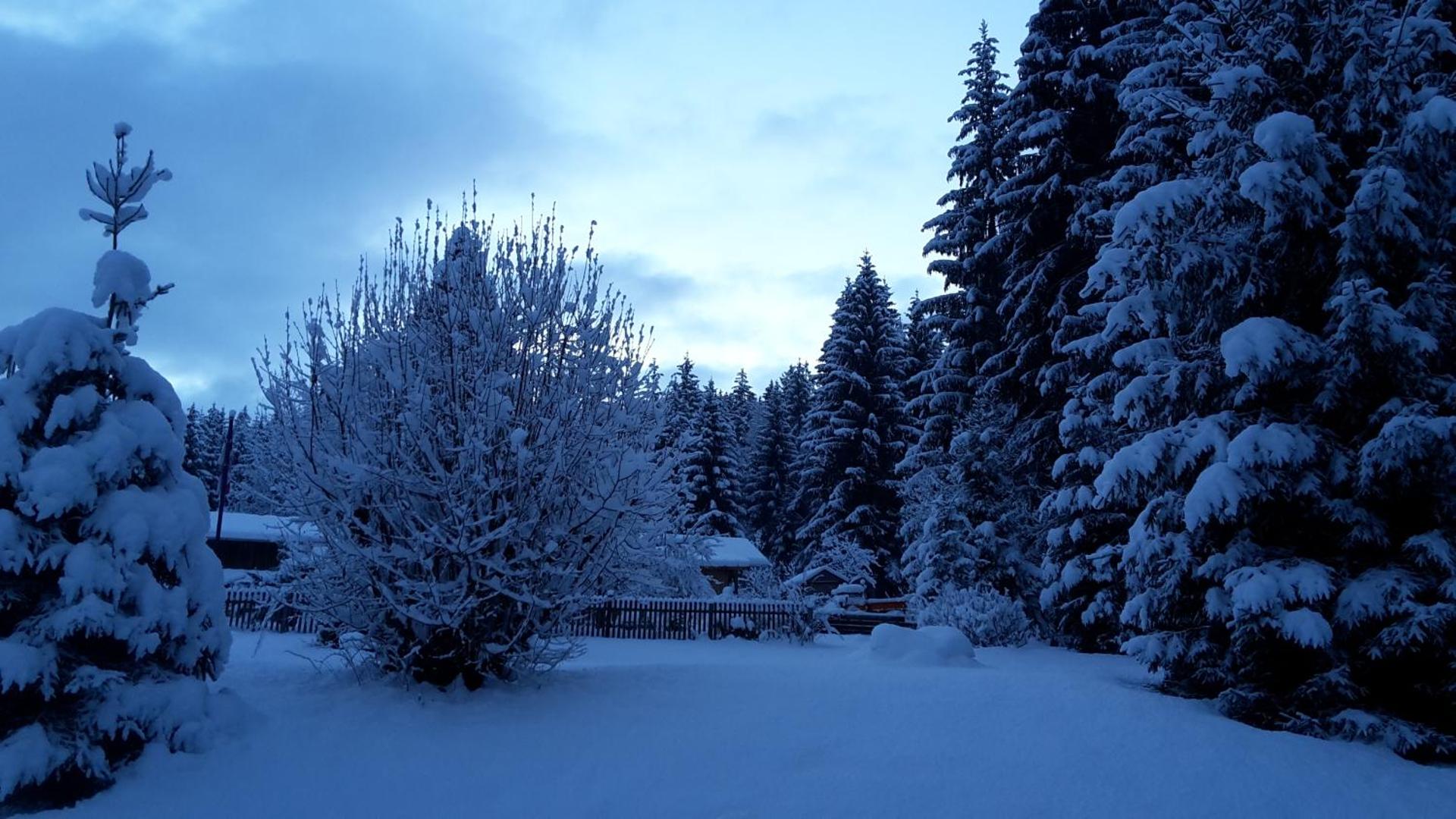 Pension Schatzkisterl