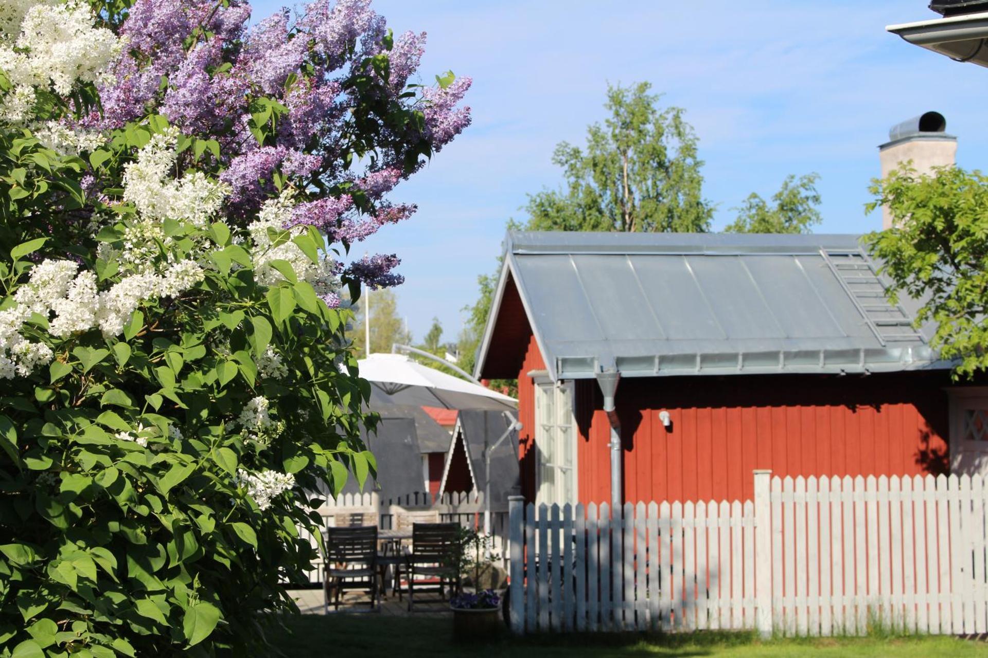 Vaxholm Seaview Cottage