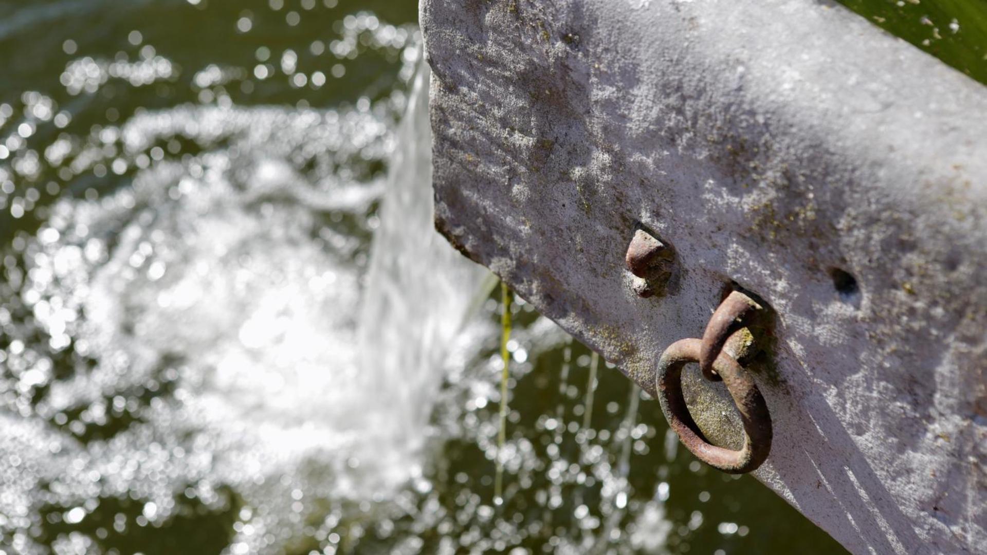 Le sentier des étangs