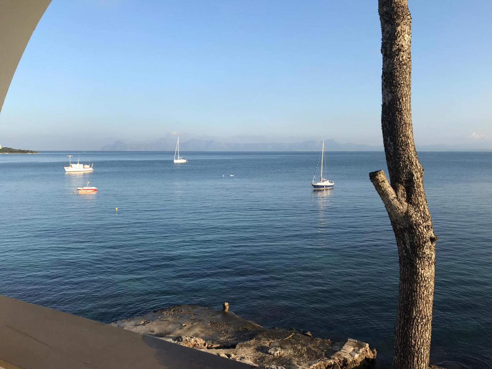 ALCUDIA-VIDA SANA-PRIMERA LINEA DE MAR