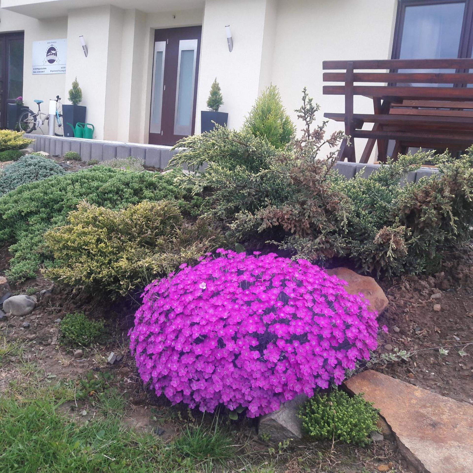 Apartamenty Przy Trakcie Cesarskim