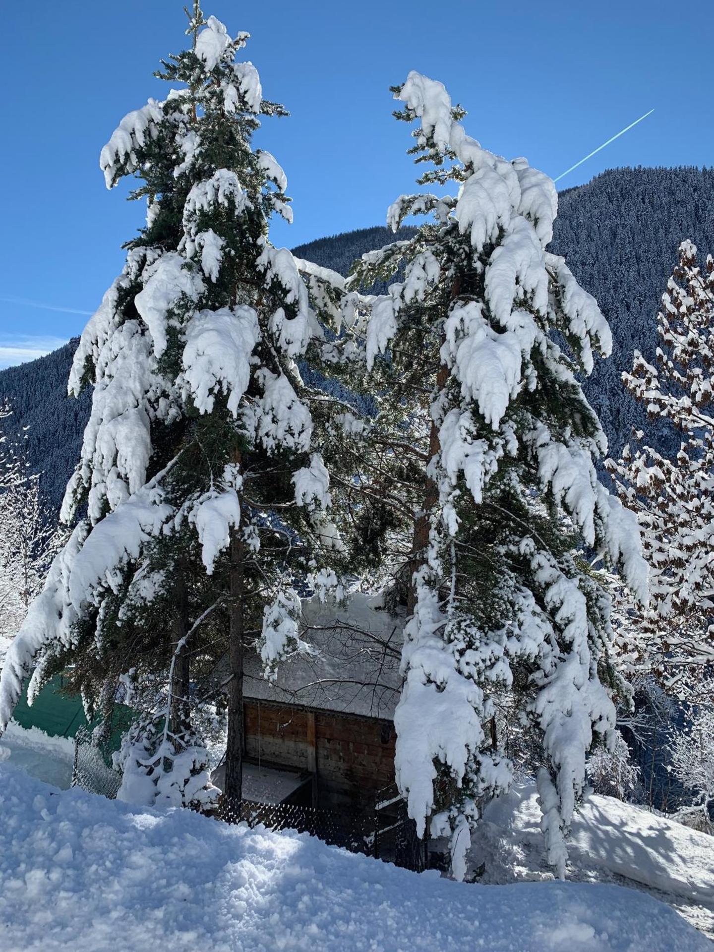 Chez Fred et Carine (Petit-déjeuner bio inclus)