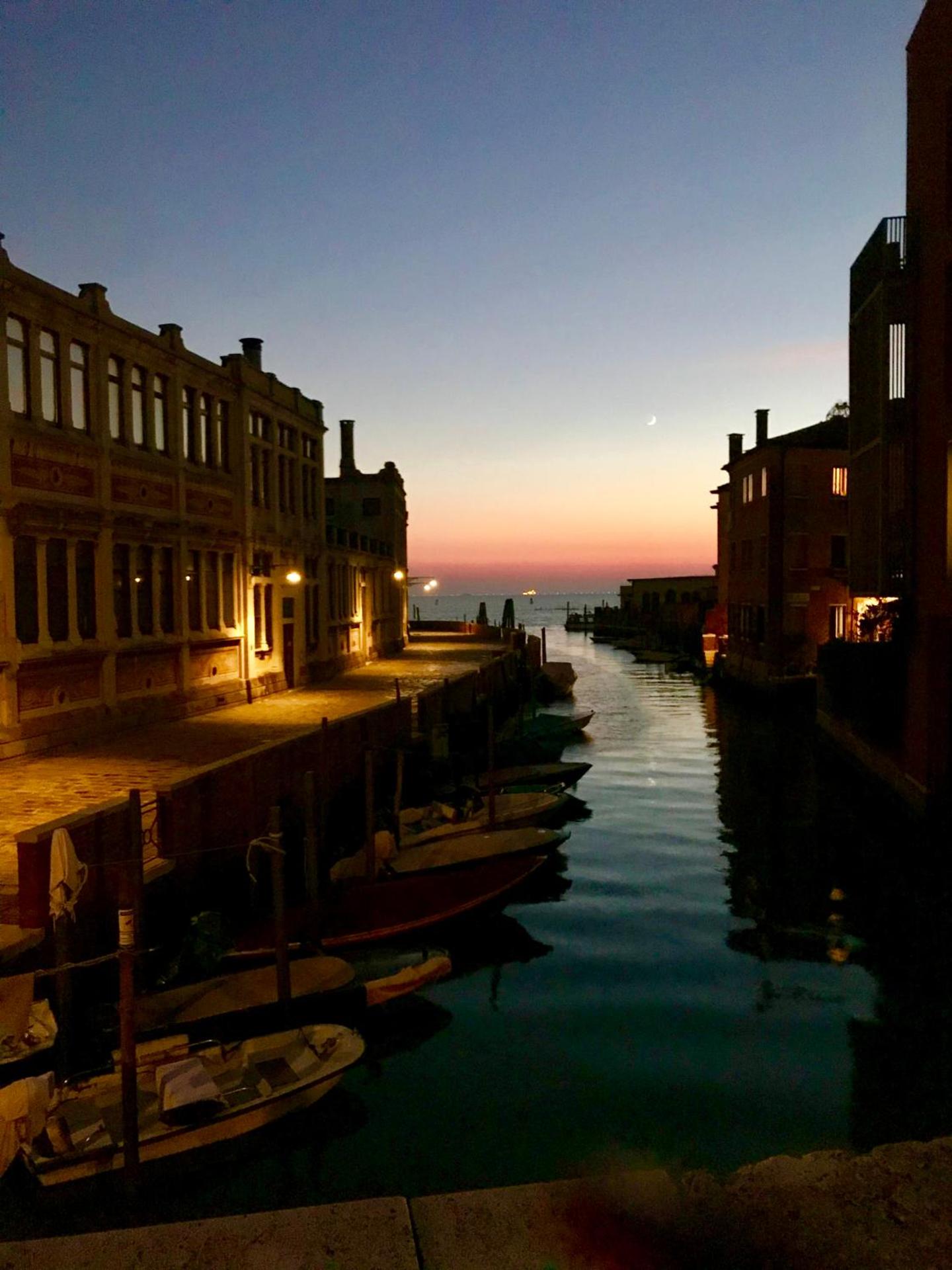 Nice & Cozy apartment