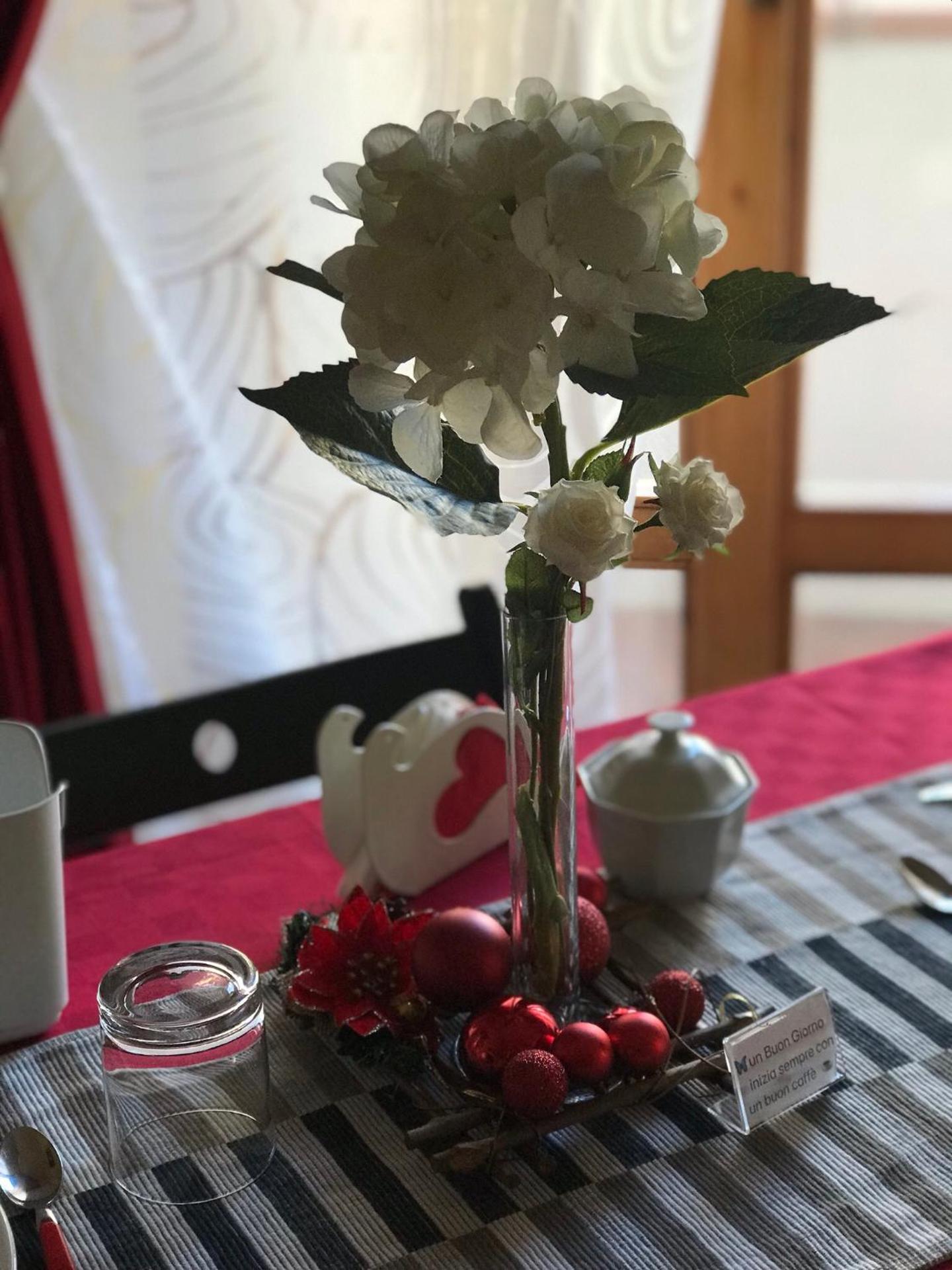 La Casa di Isabella Loreto