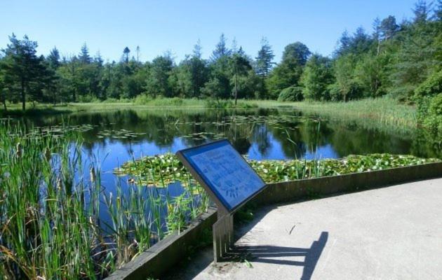 4 persoons appartement - ook te boeken voor 6 personen!