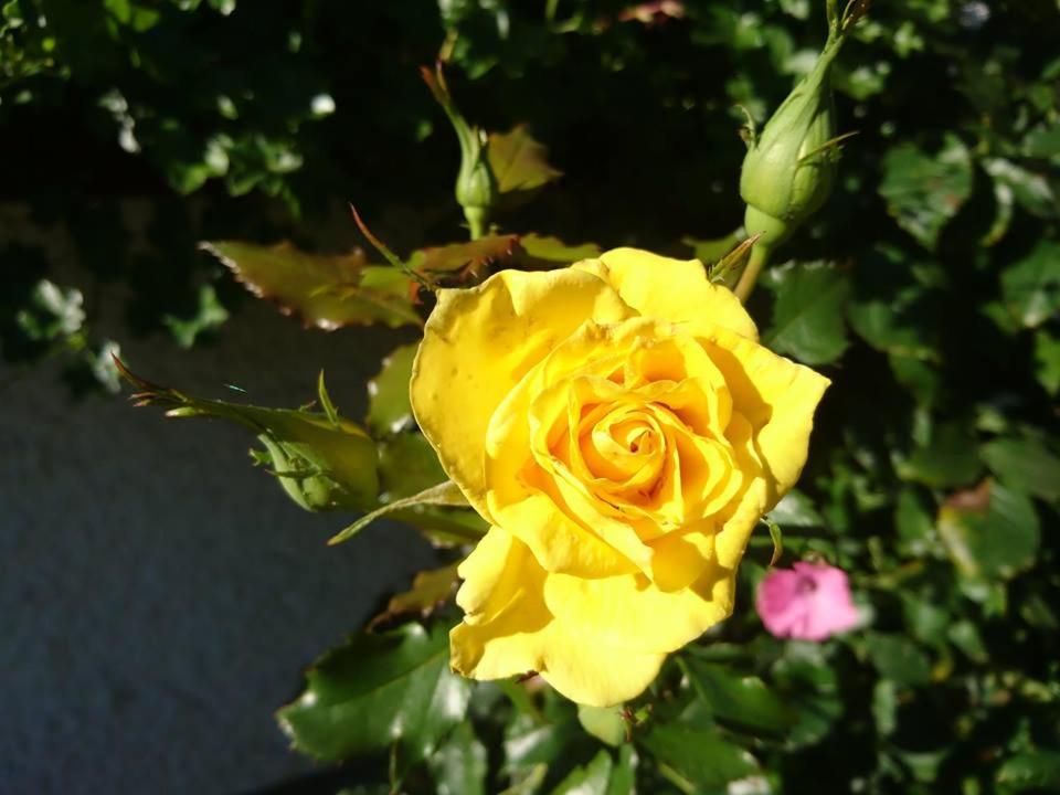 Sportpension Schober self check-in