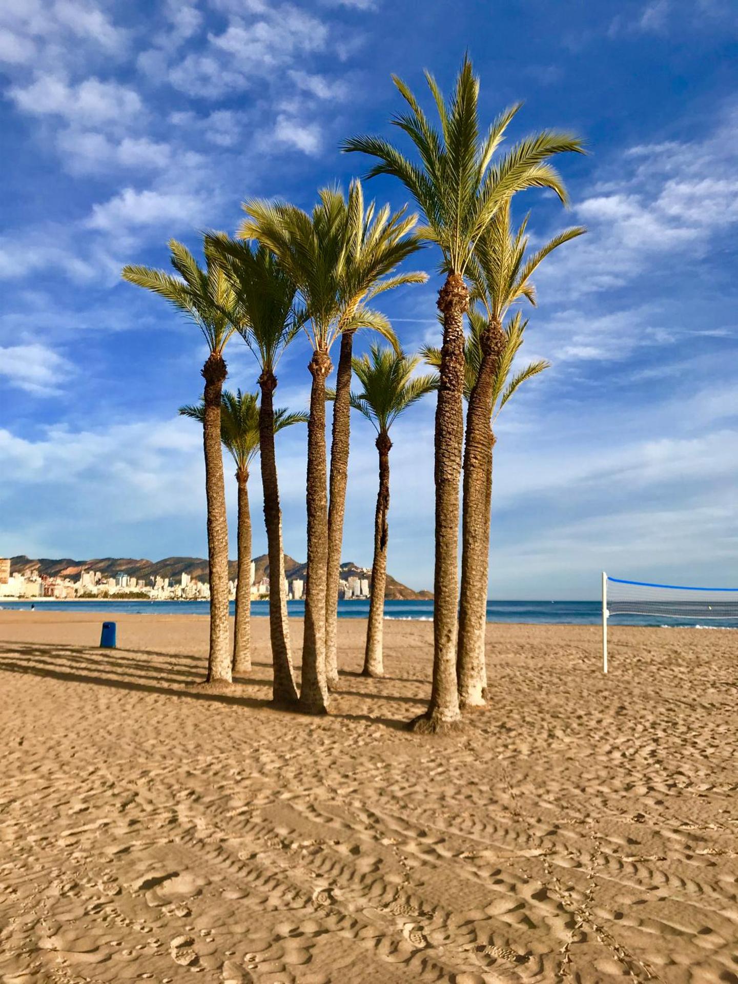 Neptuno on the Beach