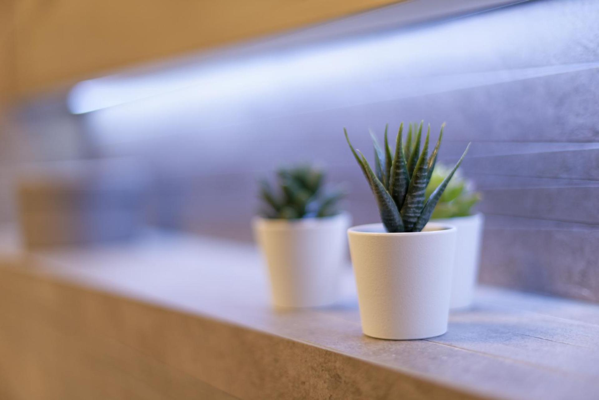 Martikal Apartment - PKP