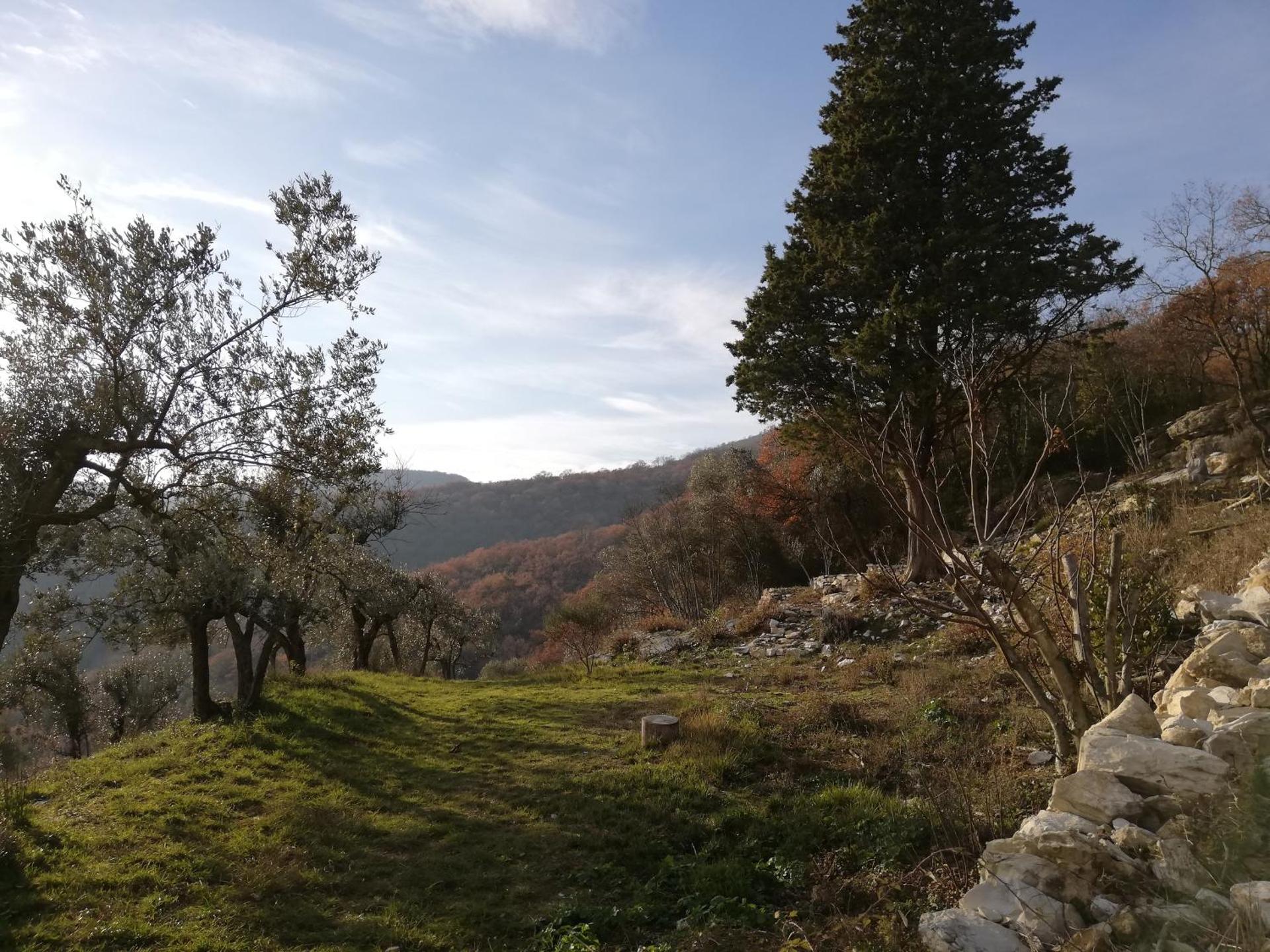 Agriturismo CasaMatta Azienda Agricola