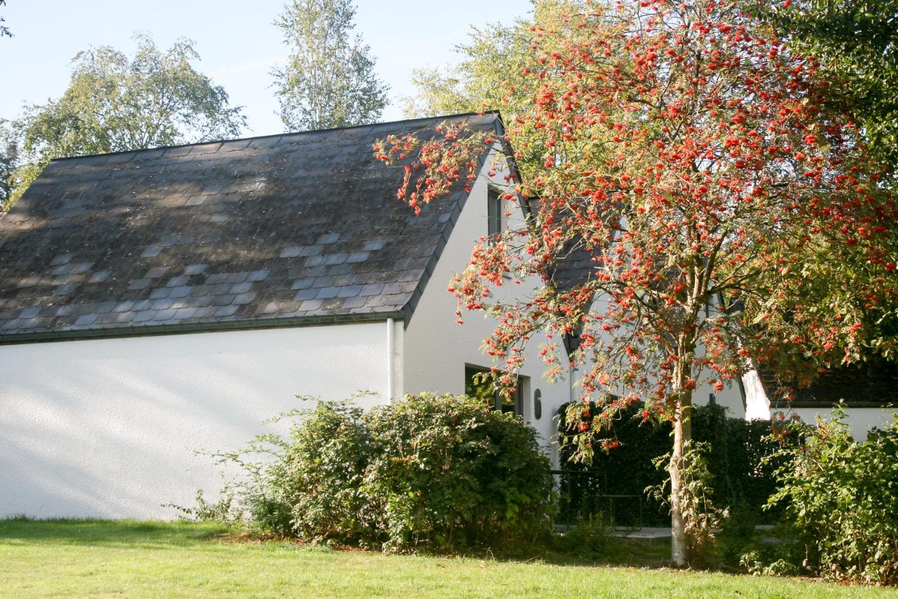 Una finestra sul lago