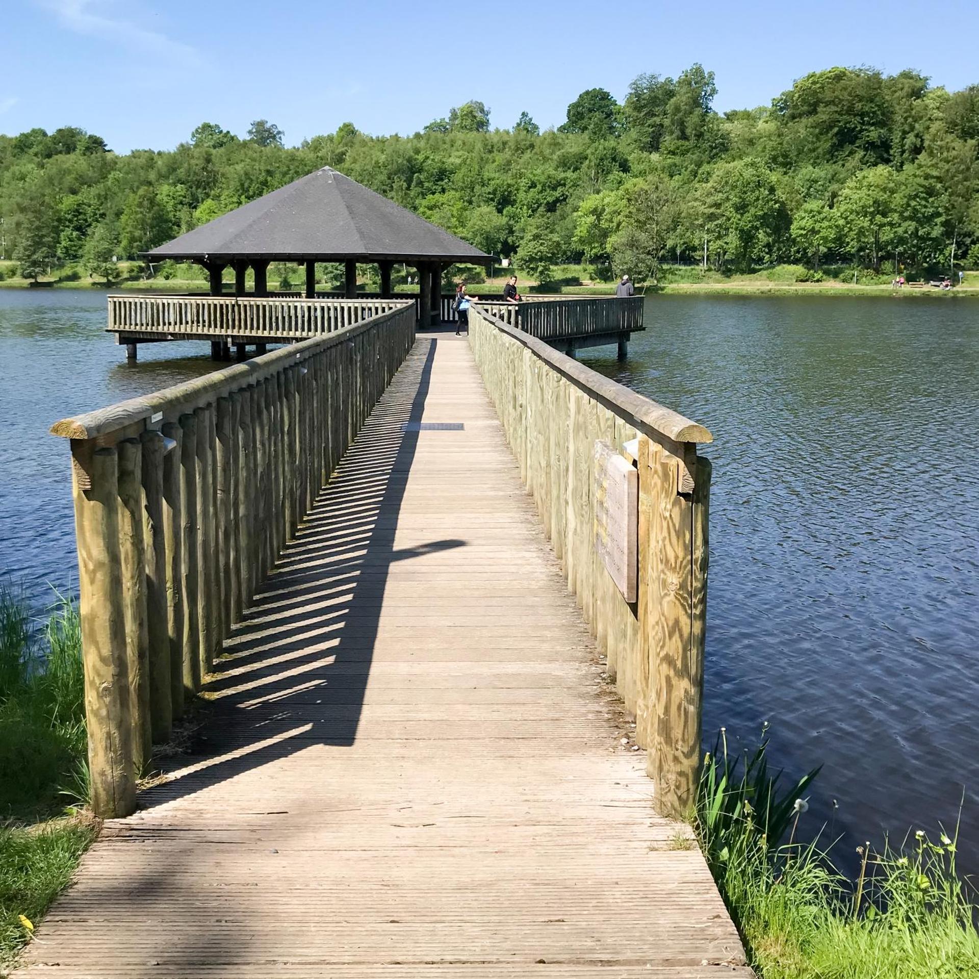 Una finestra sul lago