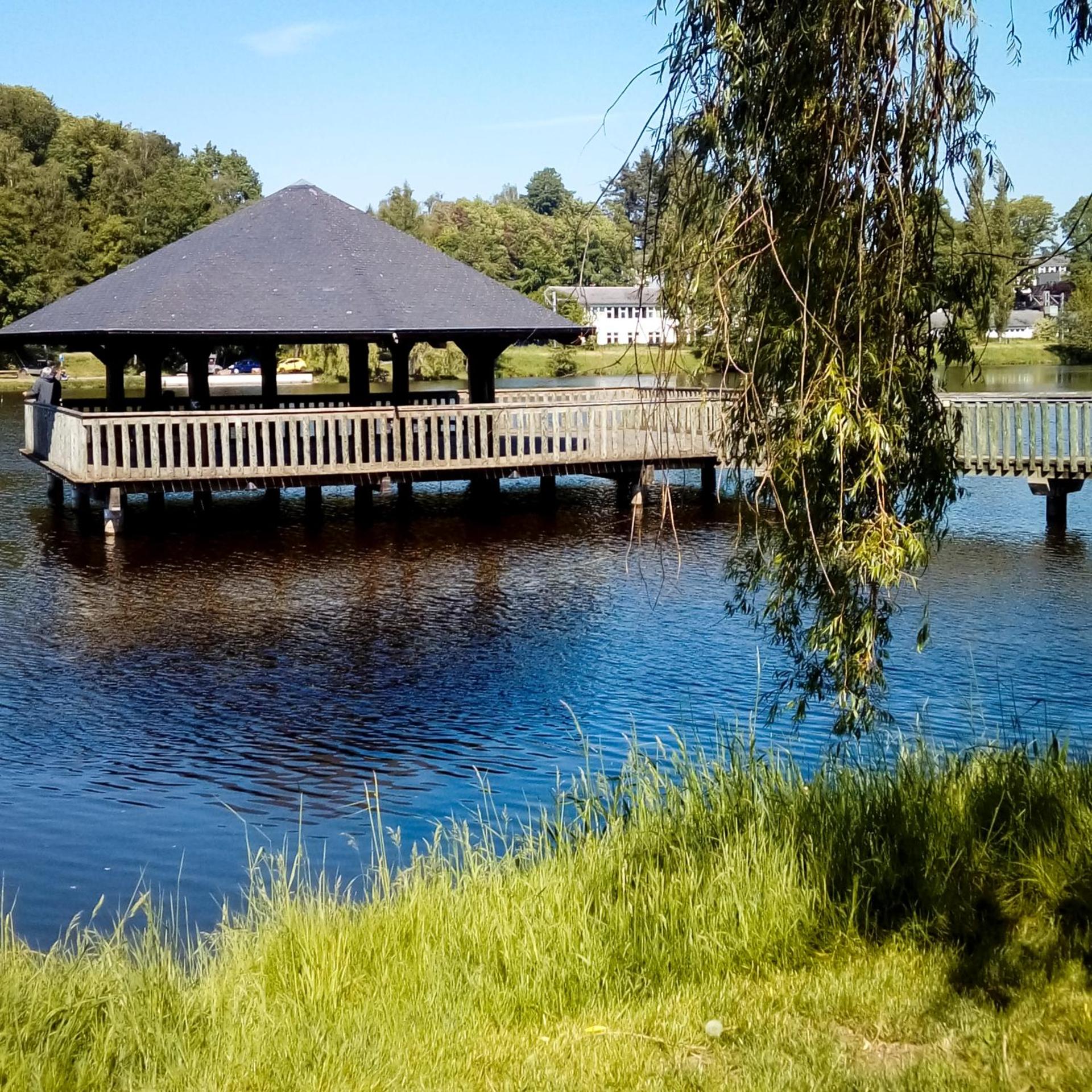 Una finestra sul lago
