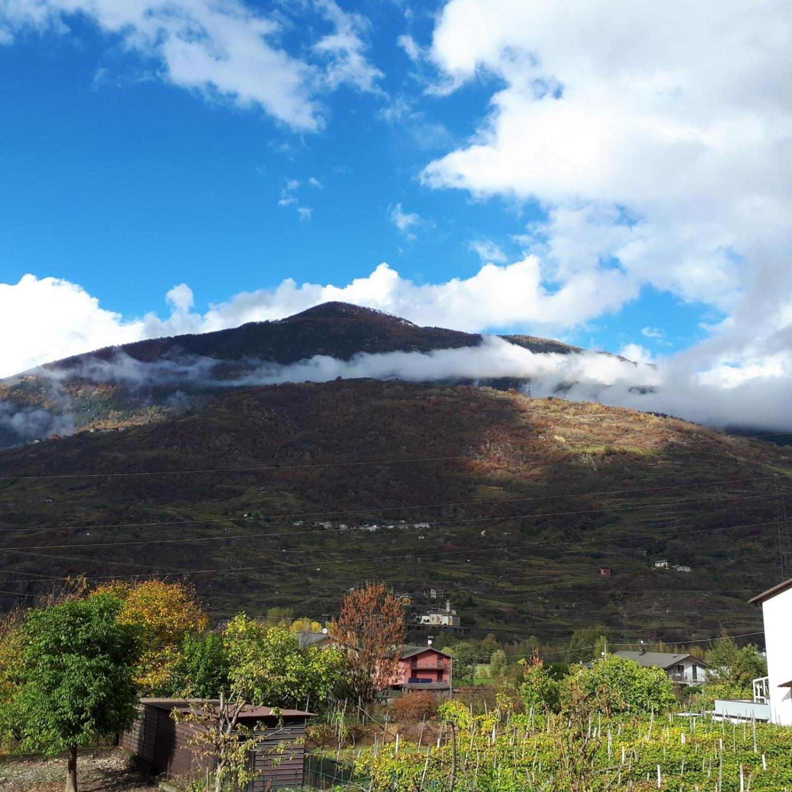 Deluxe Apartment with Garden View