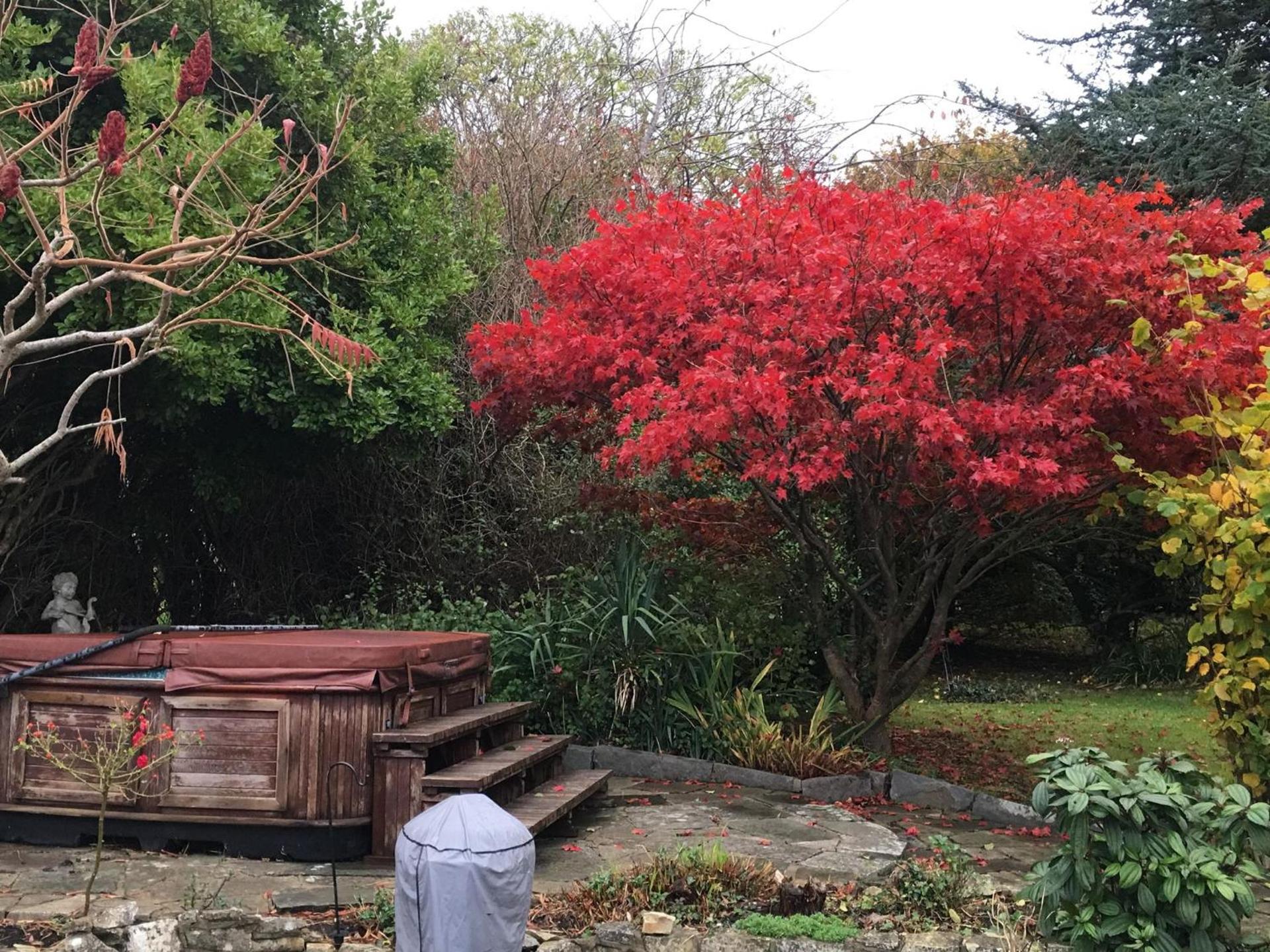 Great House Guest House