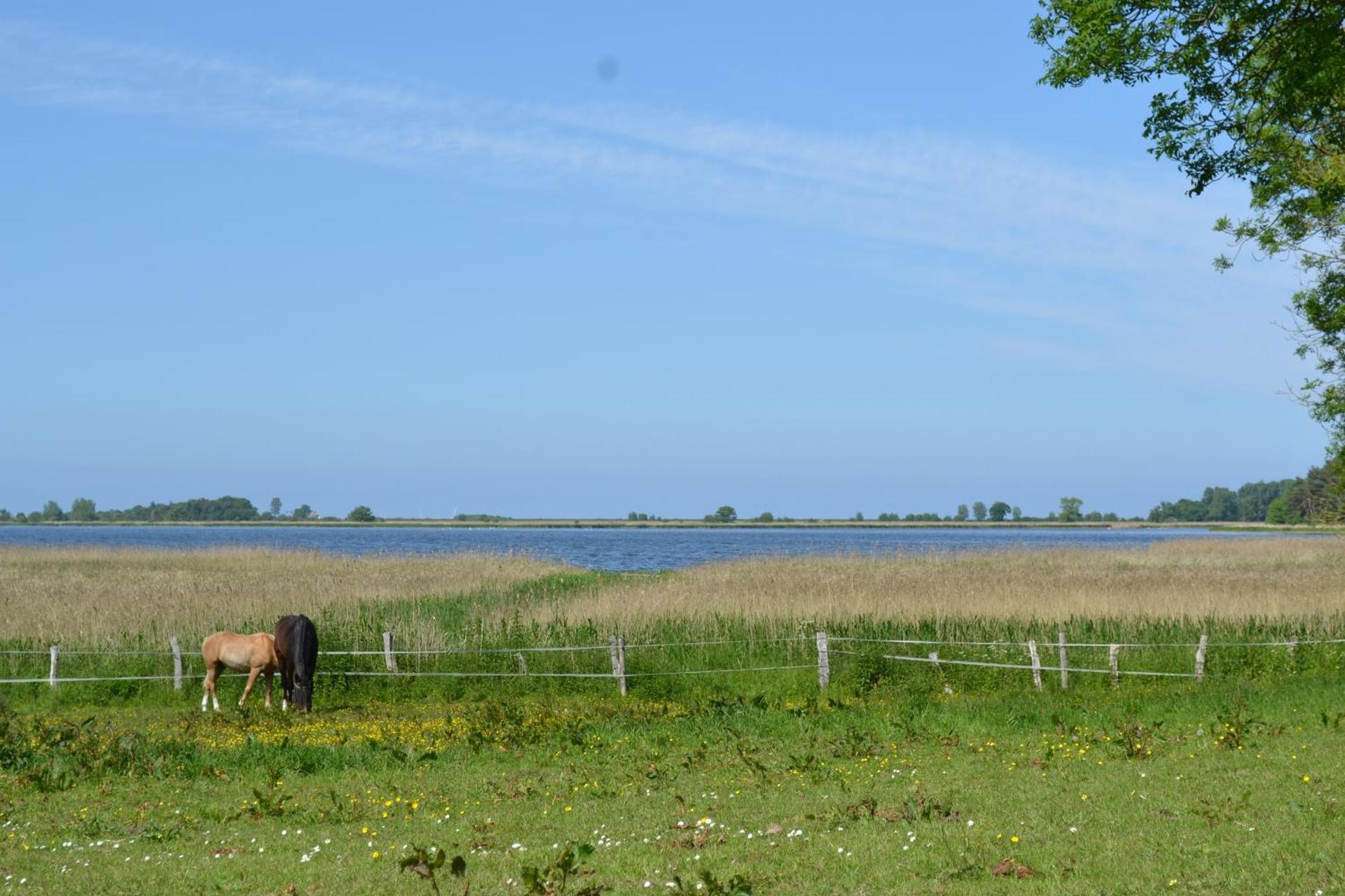 Apartments Golden Tüffel