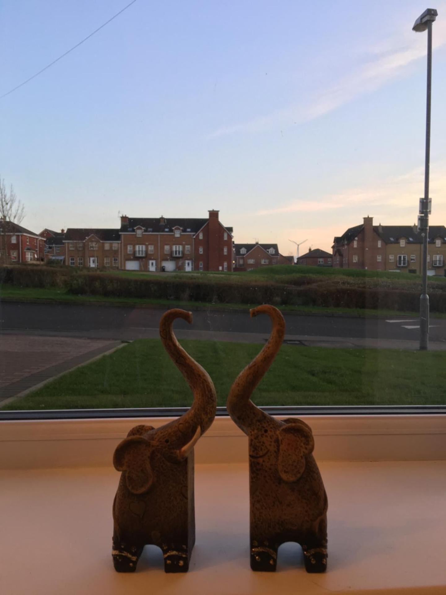 Luxury Portrush Holiday Homes - The Grove, Portrush Sleeps 14 - 6 bedrooms