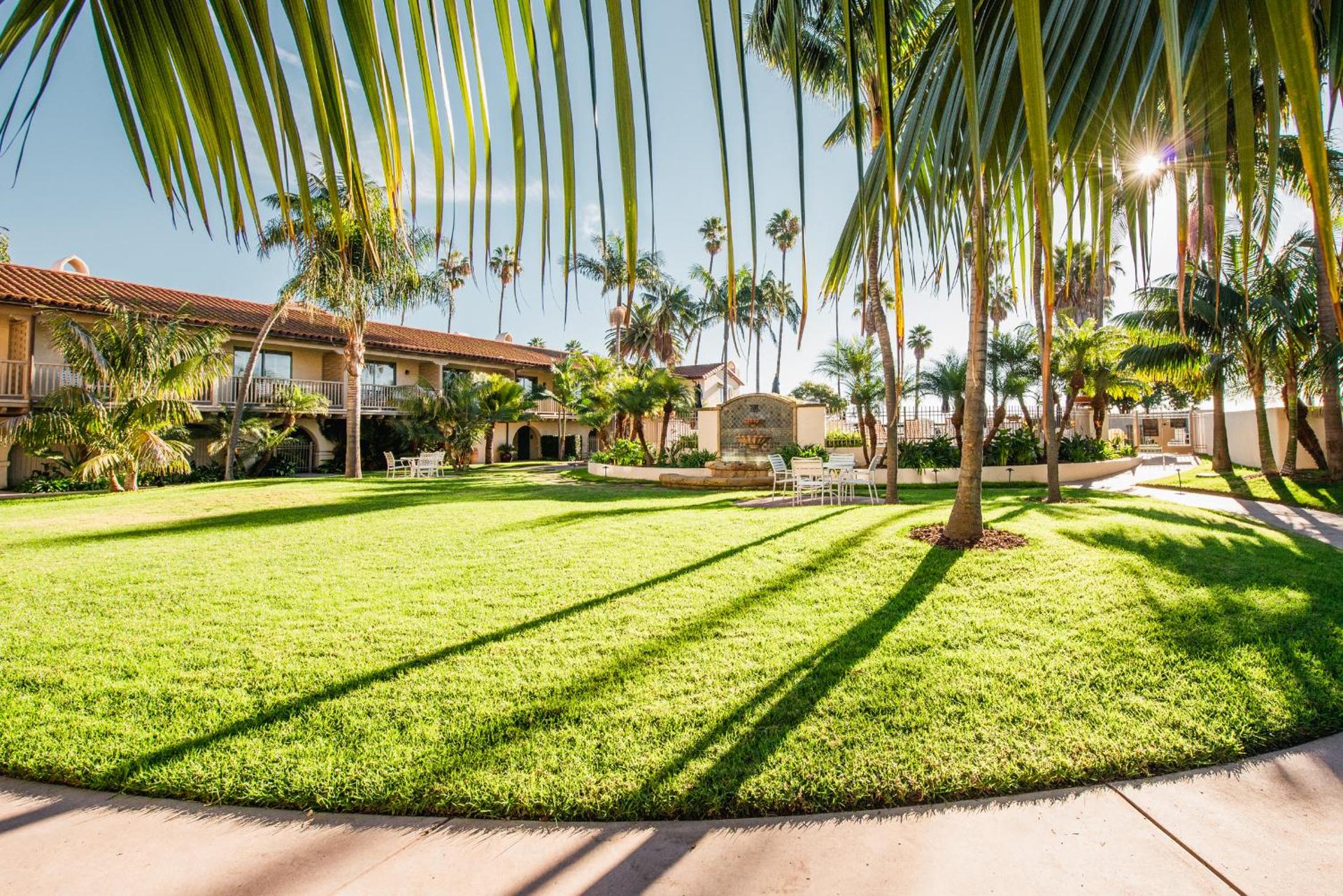 View (from property/room)