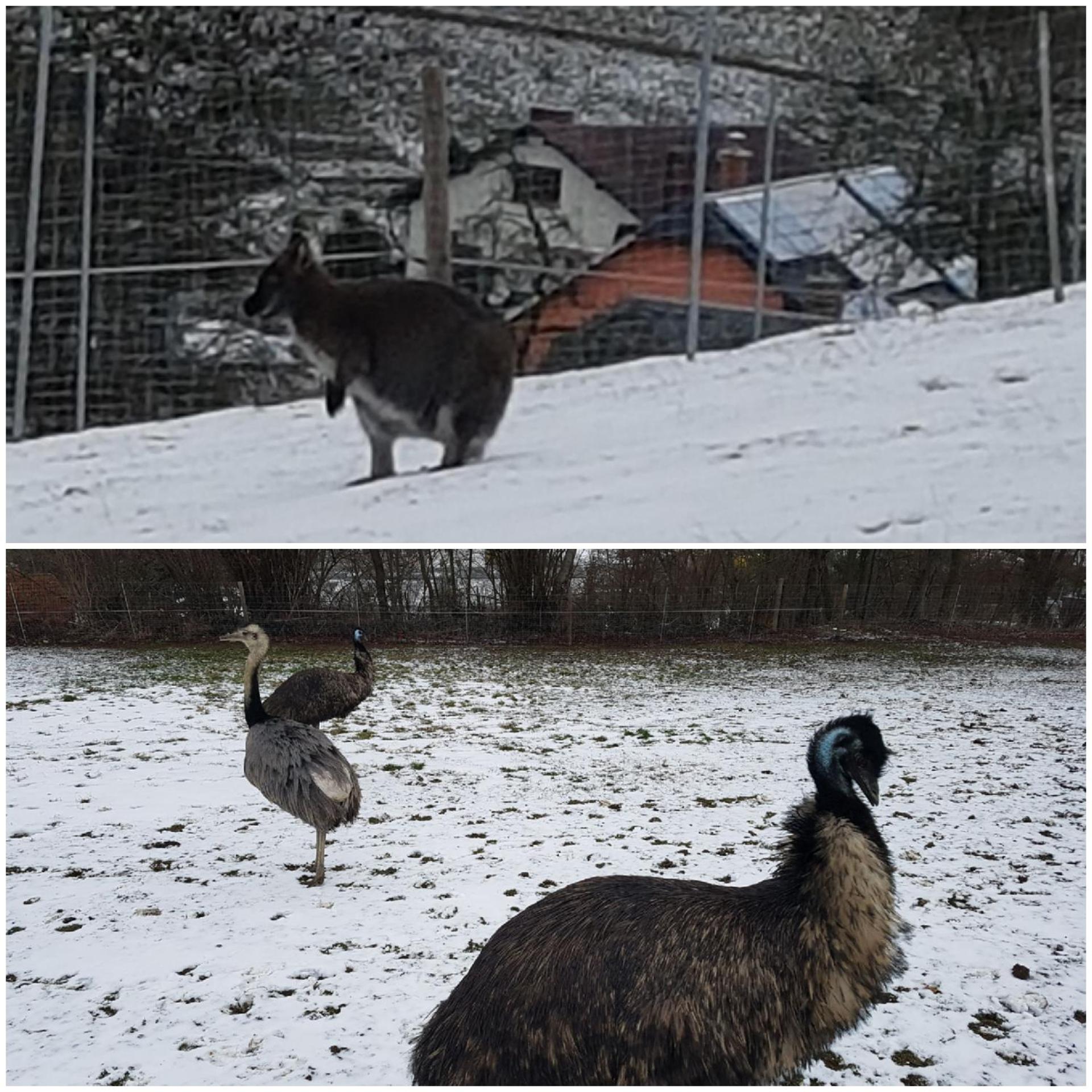 Pension und Bauernhof Petzold