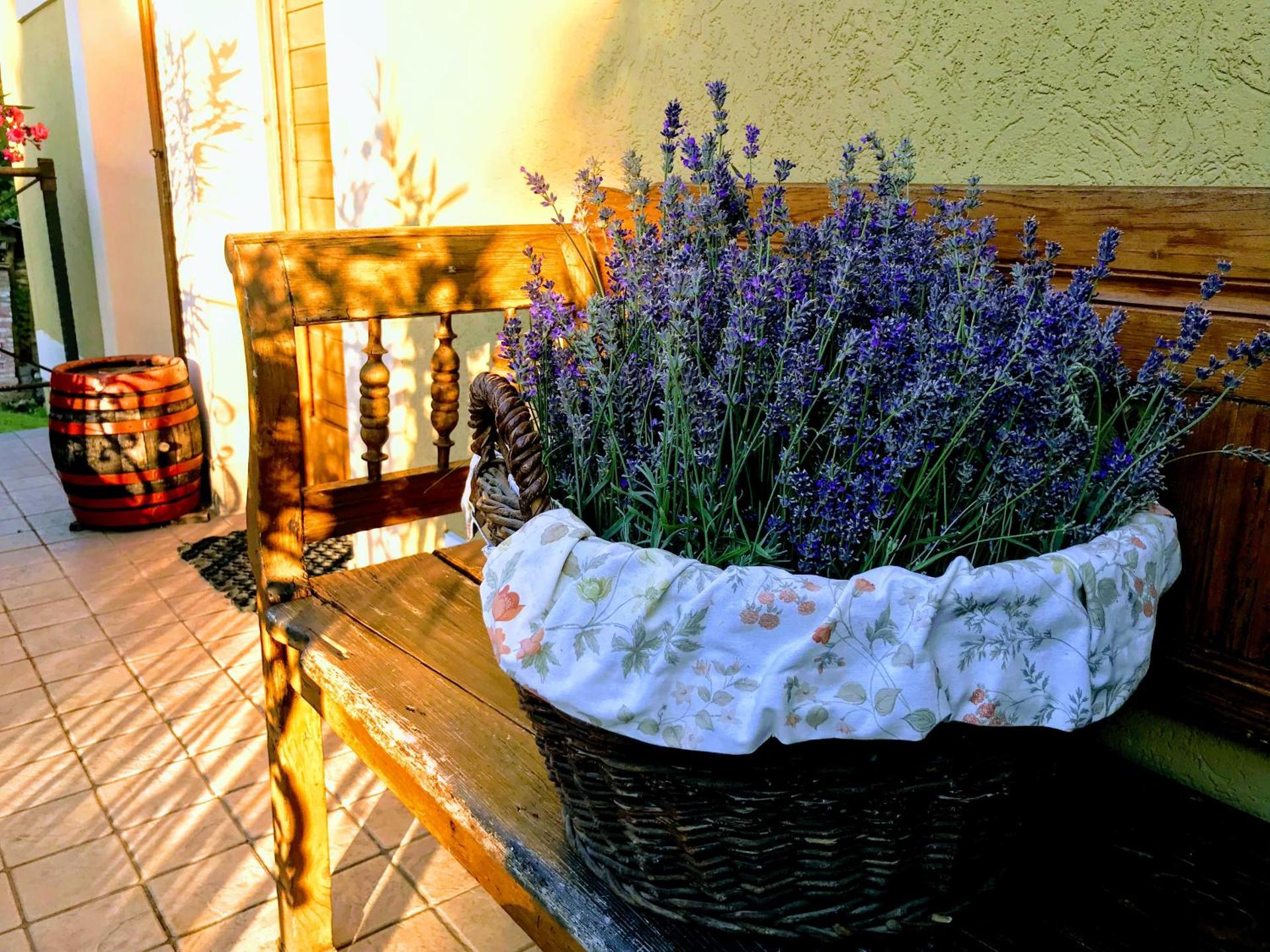 Hungária Vendégház