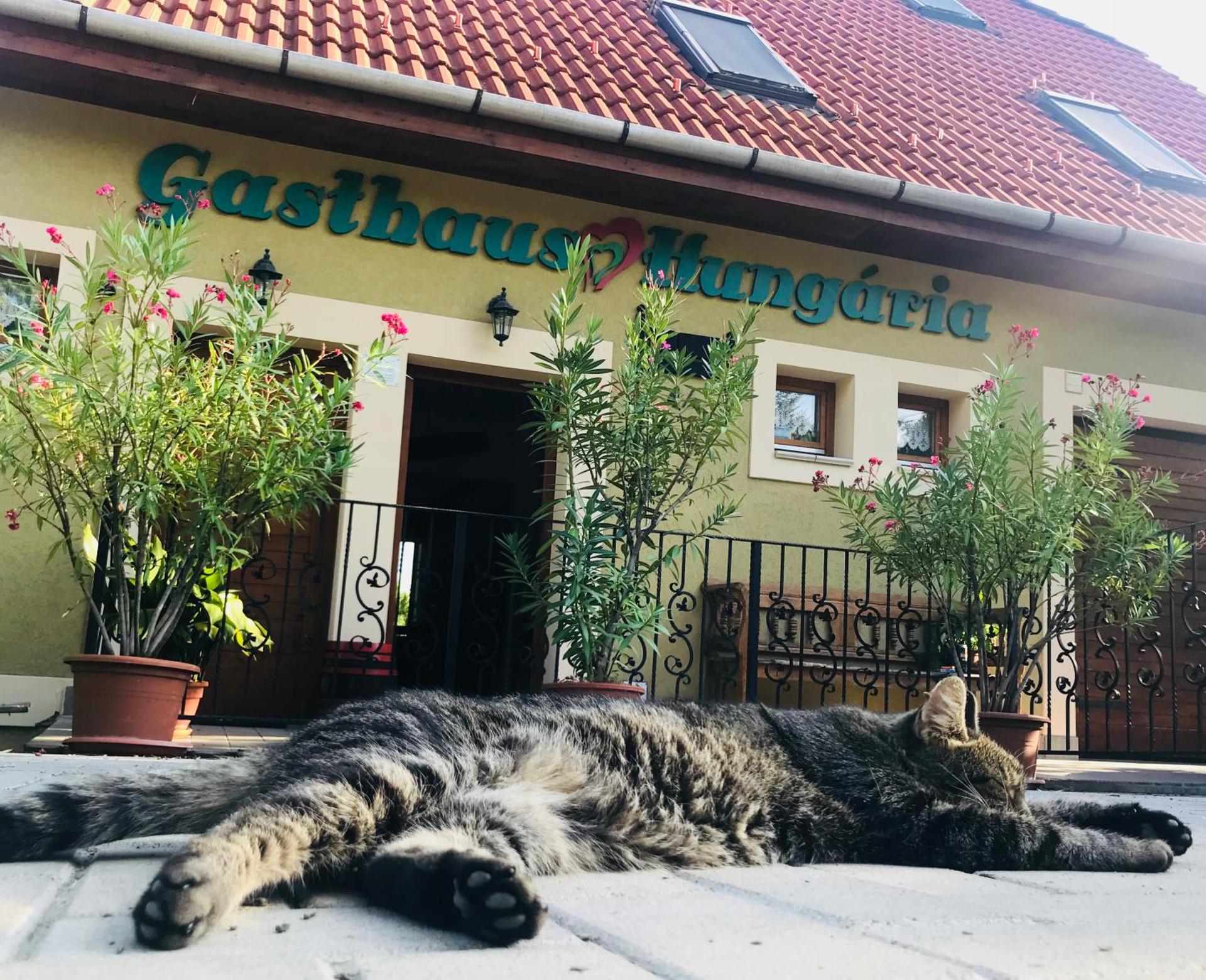 Hungária Vendégház