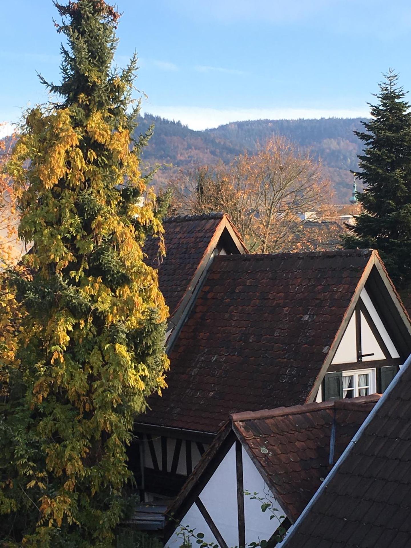 Die Grüne Bettlad Boutique-Hotel