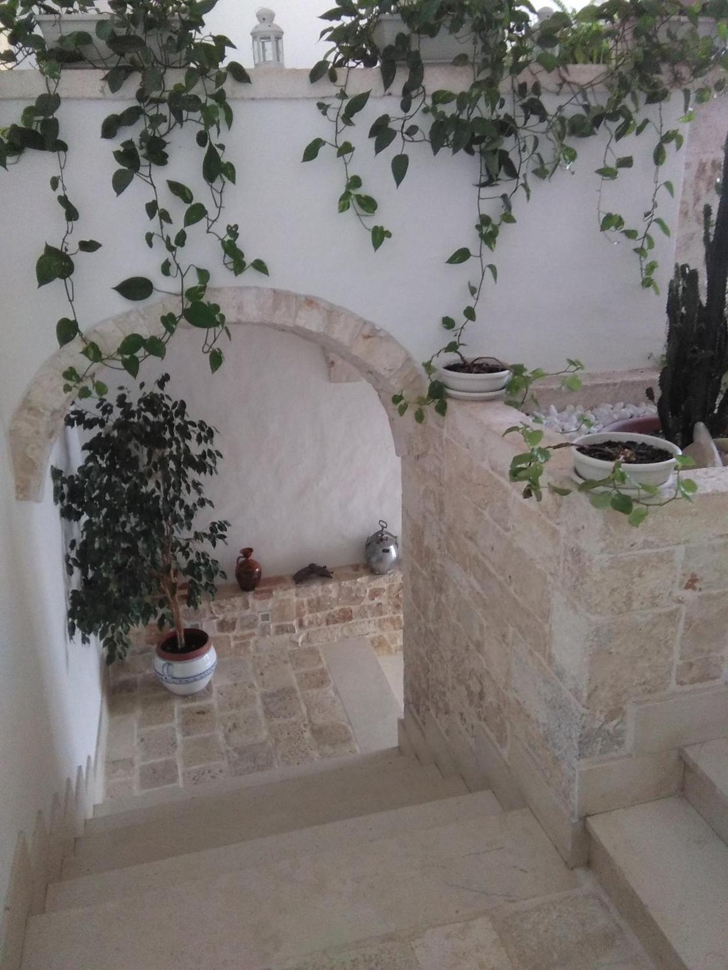 Inner courtyard view