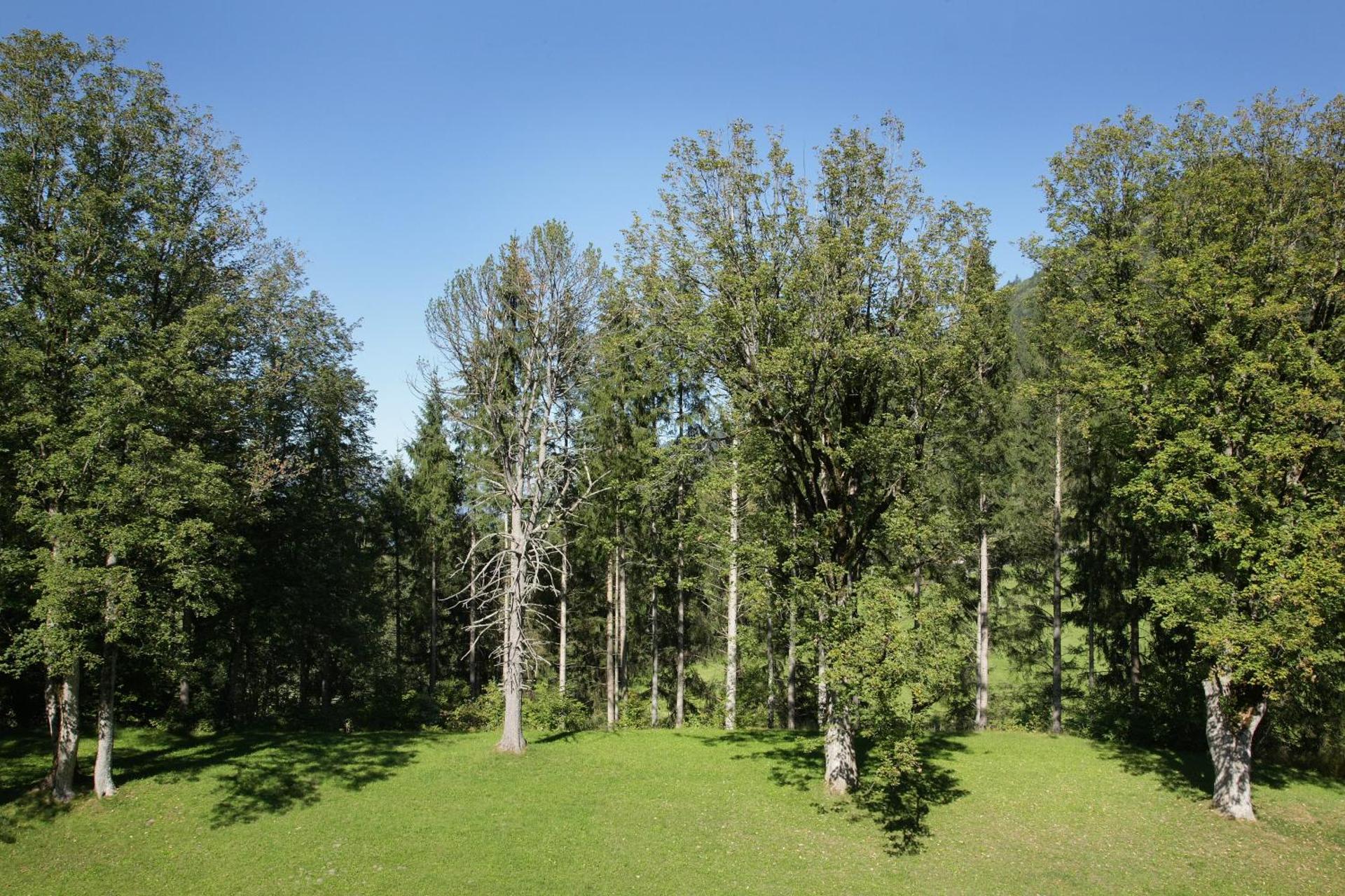 Schlossresidenz Fischhorn