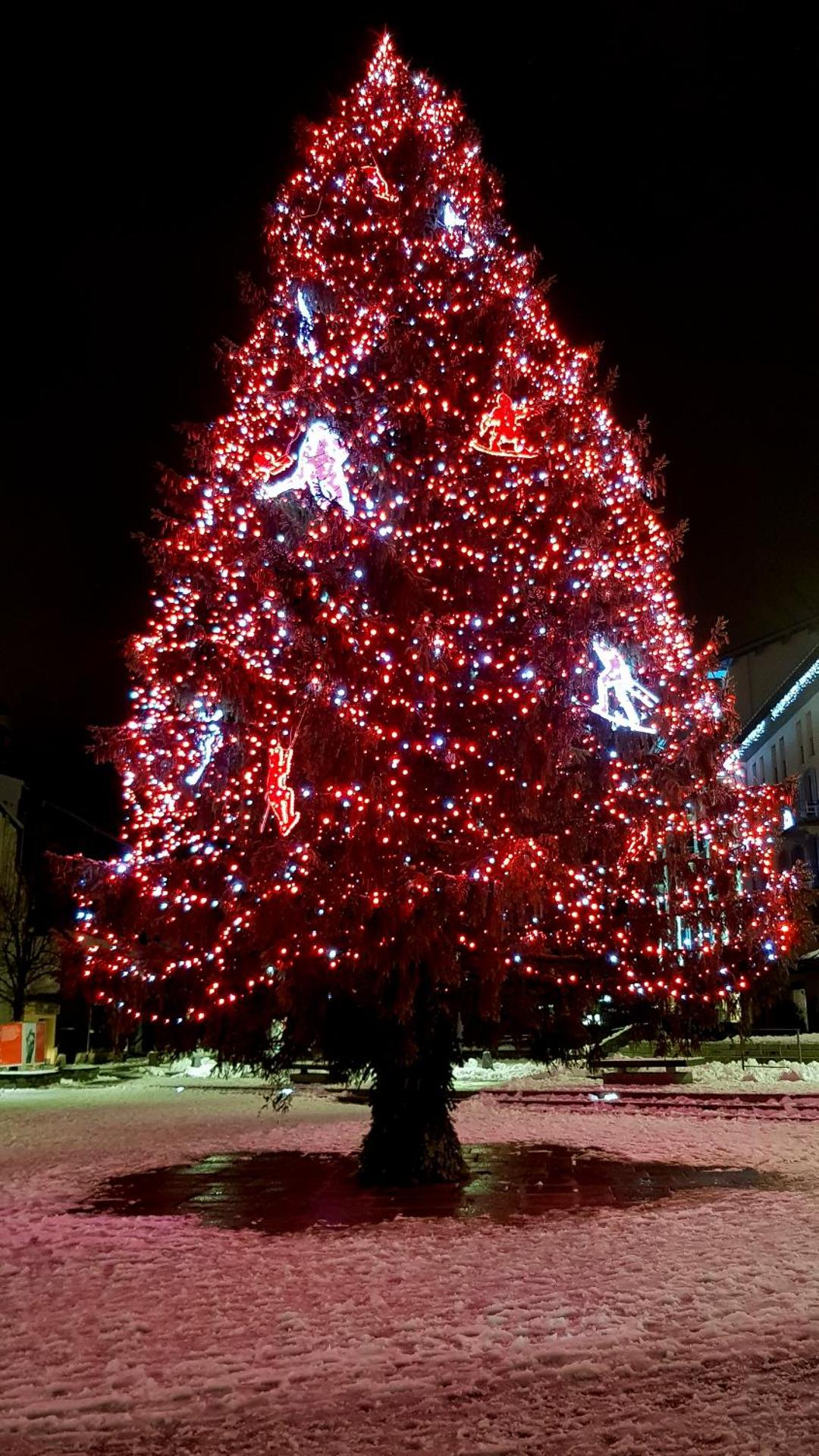 Appartement Les Arolles