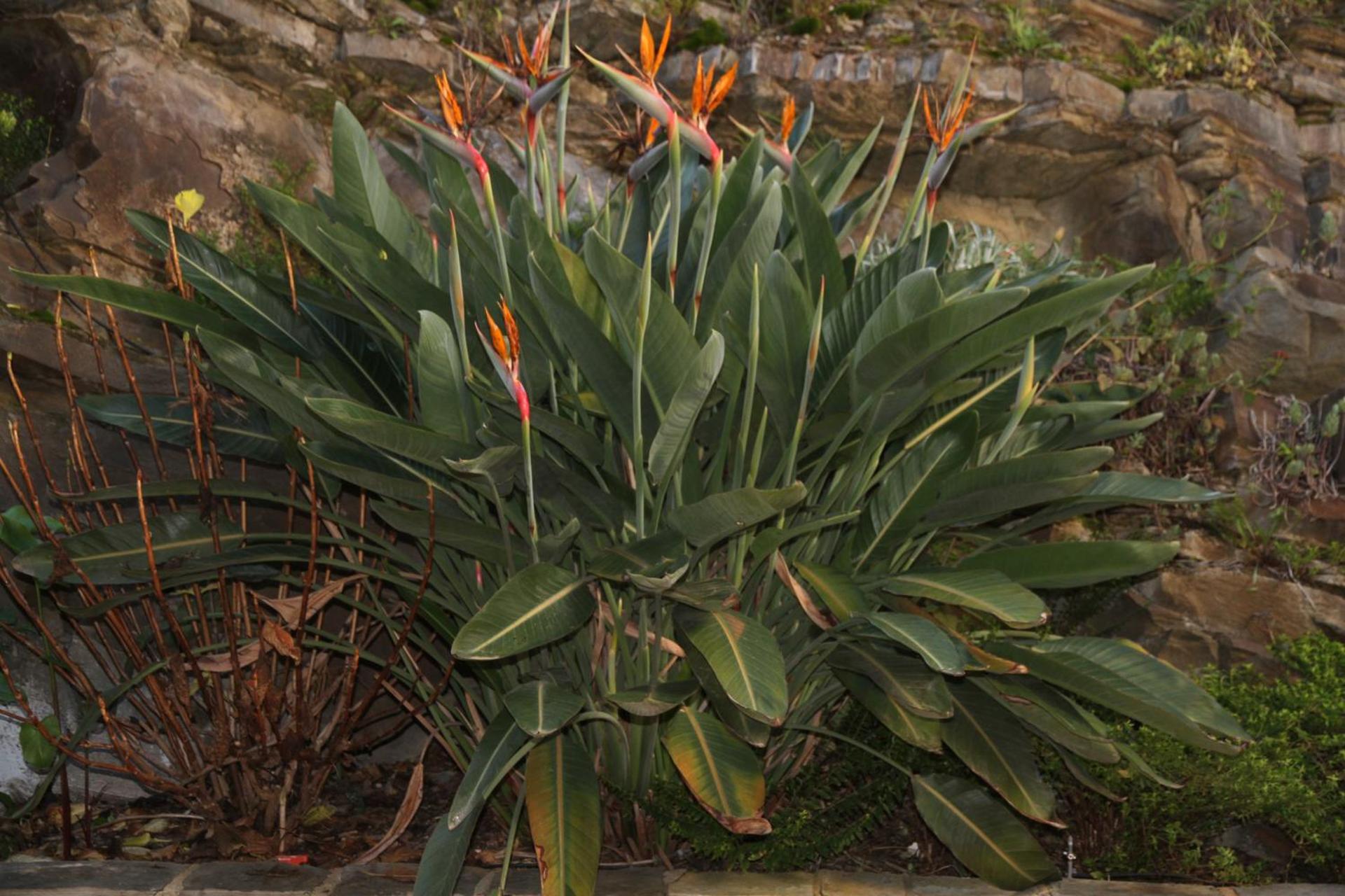 Turismo Guadiana - Casas