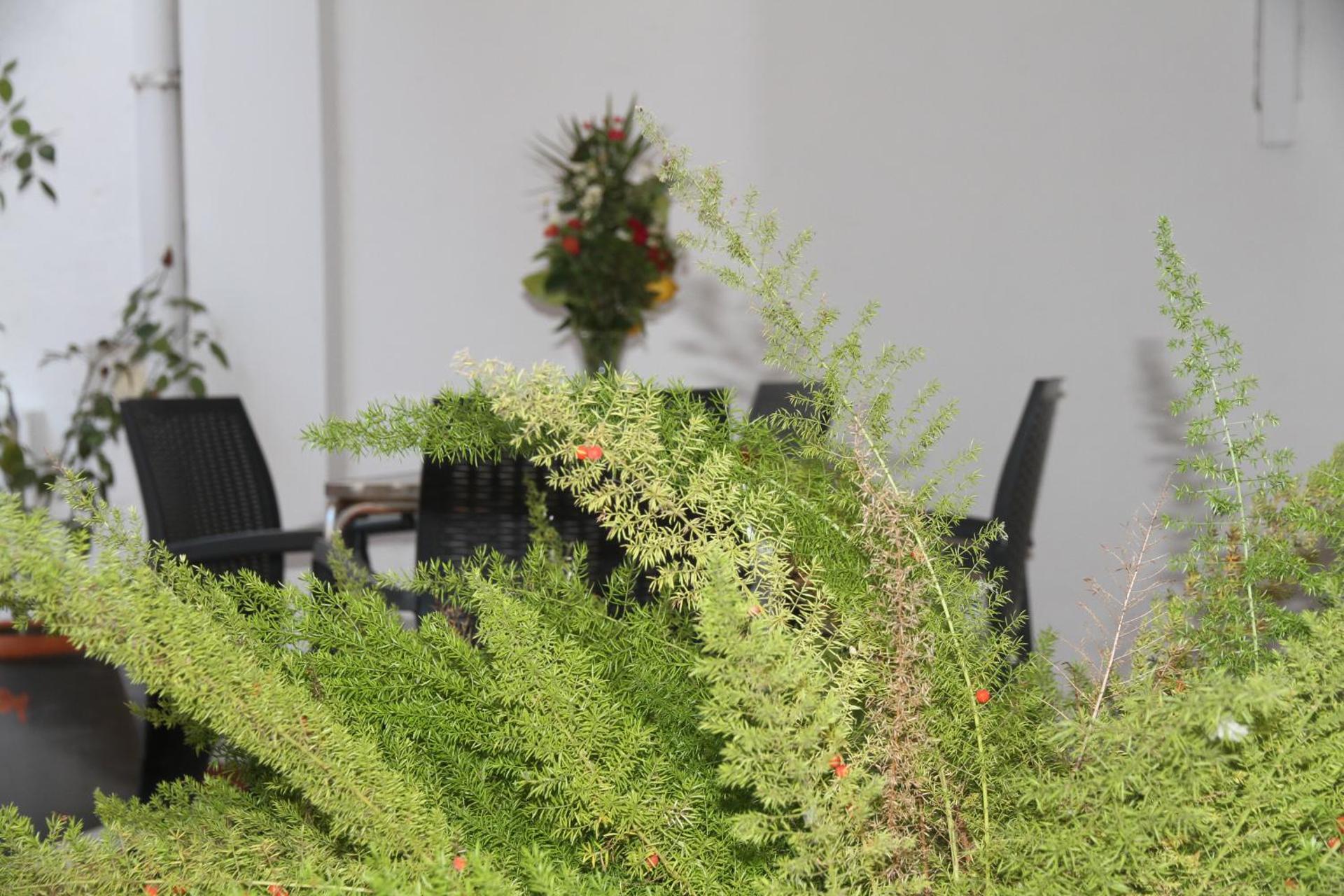 Turismo Guadiana - Casas