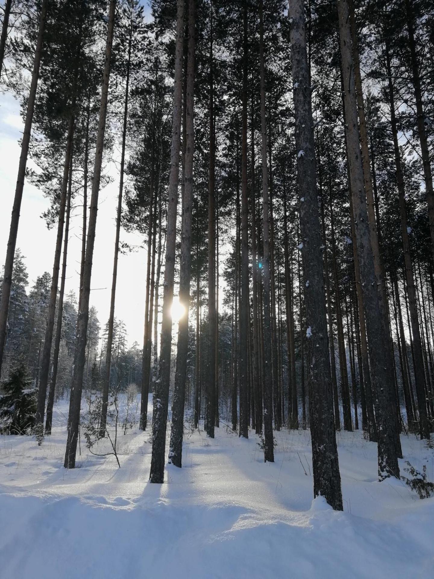 Marina Holiday Rauhan Village Apartments