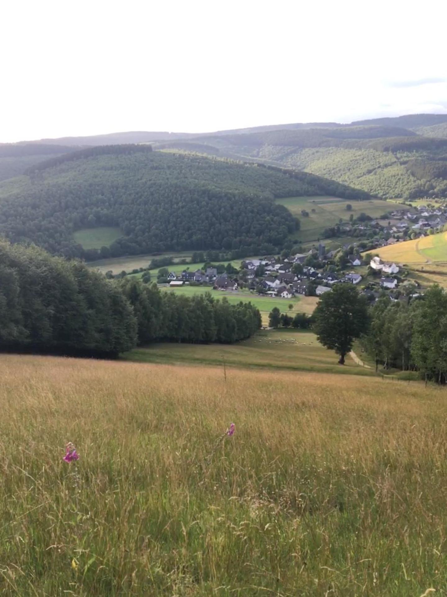 Pension zum Rothaarsteig