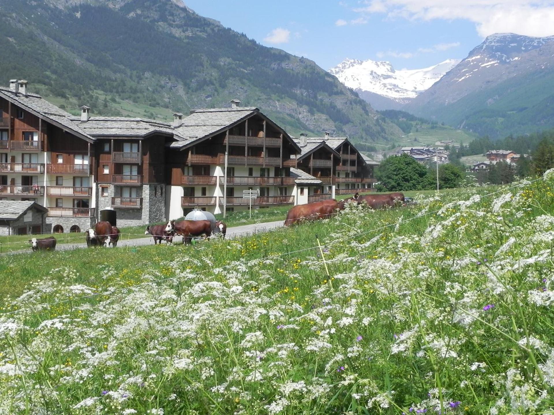 View (from property/room)