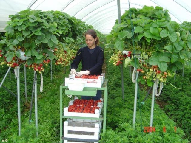 Corte Breda, Agriturismo Bed&Breakfast