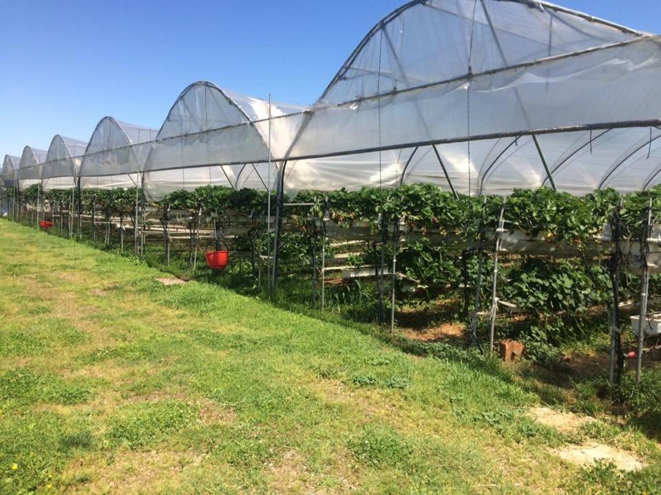 Corte Breda, Agriturismo Bed&Breakfast