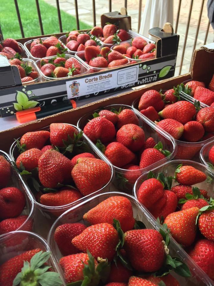 Corte Breda, Agriturismo Bed&Breakfast