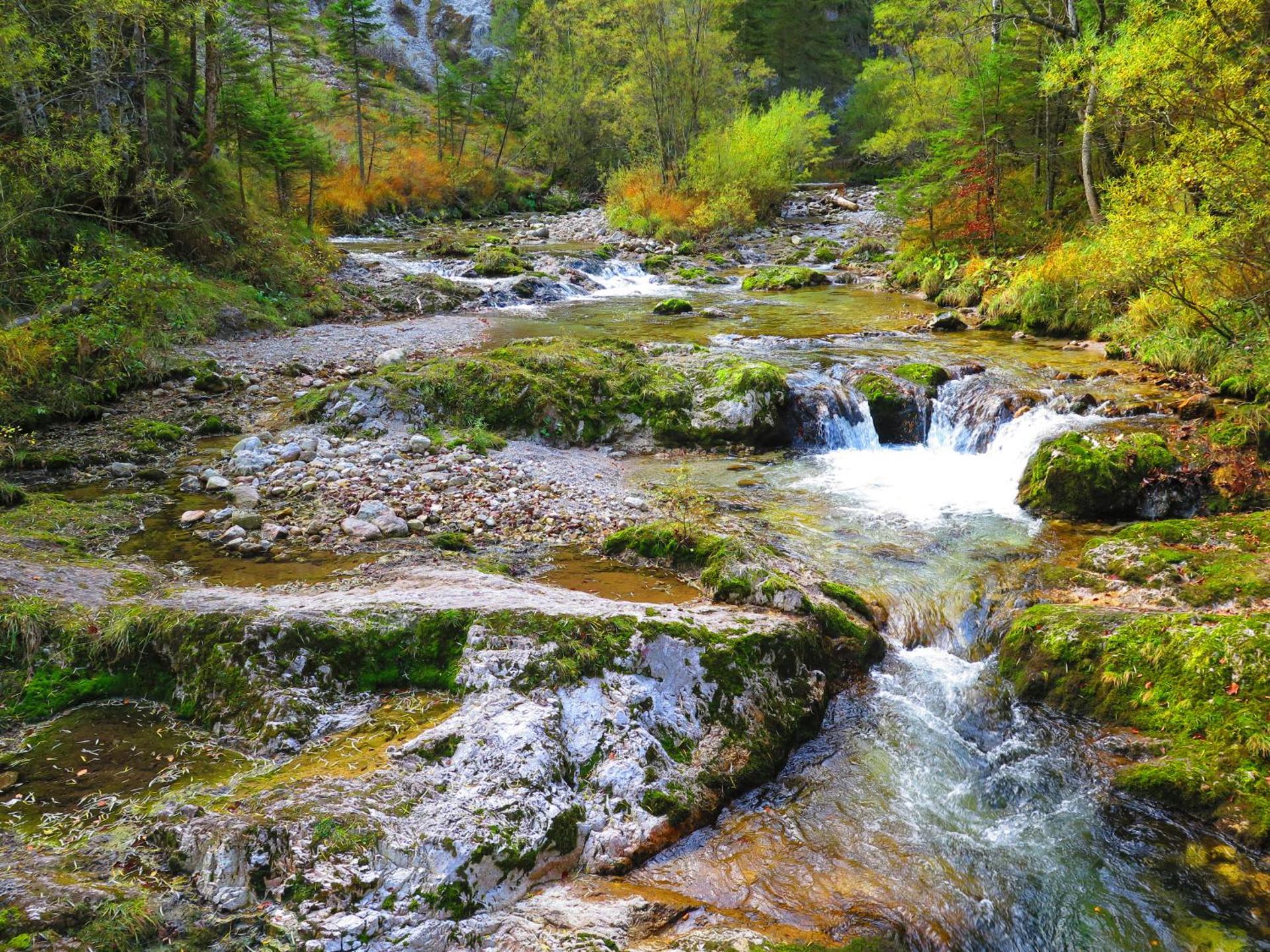 Gästehaus Wasserburger