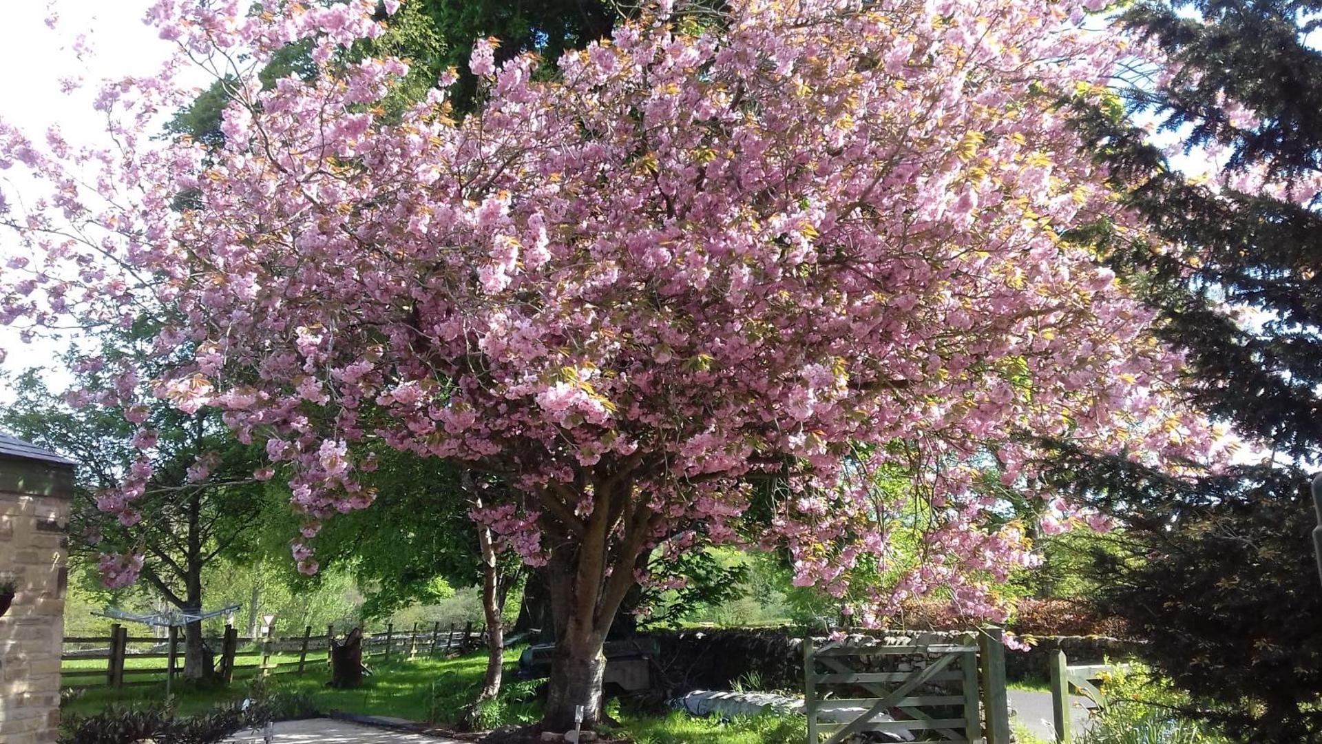 The Snug @ Corry Cottage